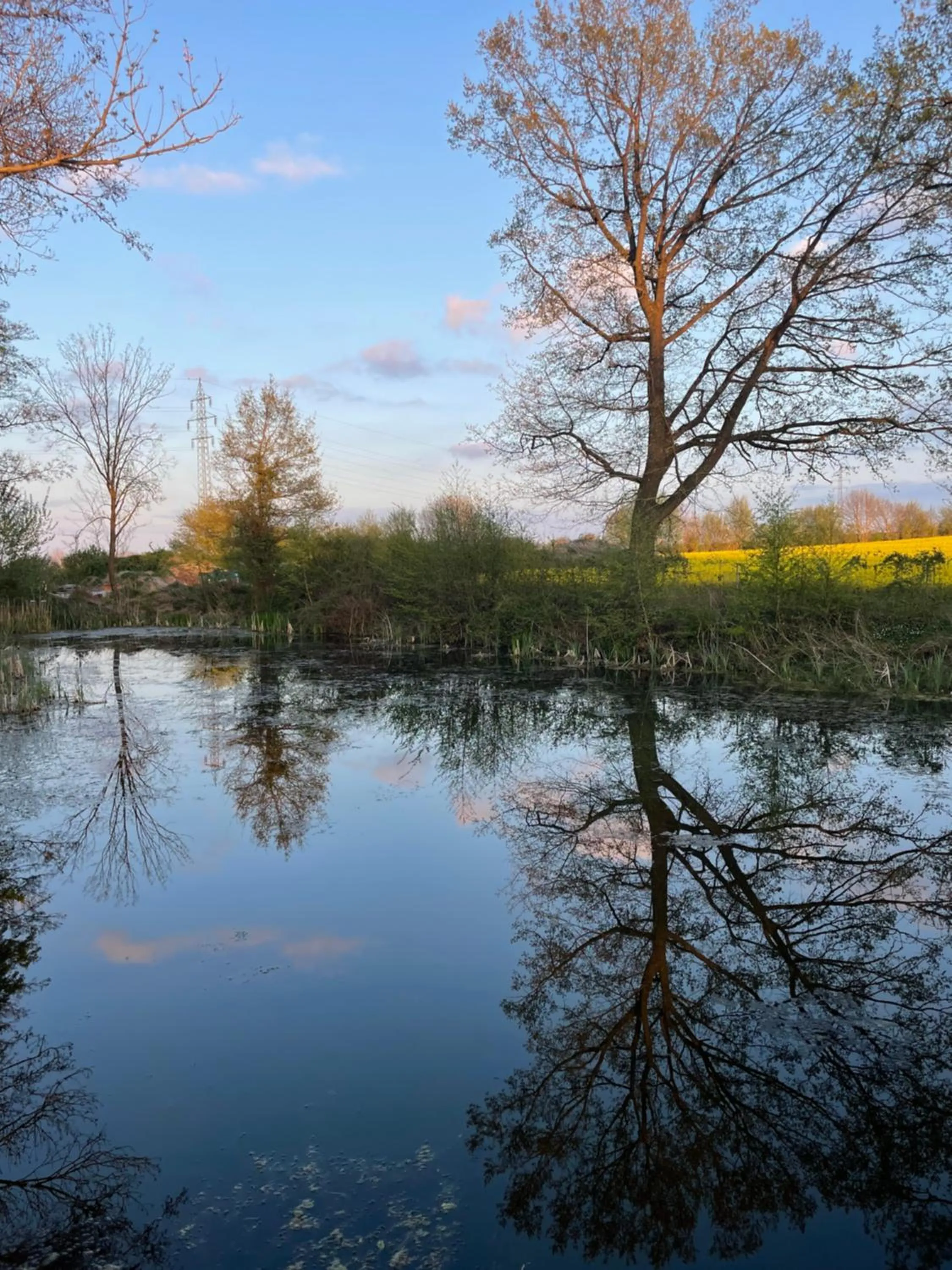 Natural landscape in Herrenhaus Gut Neuruppersdorf