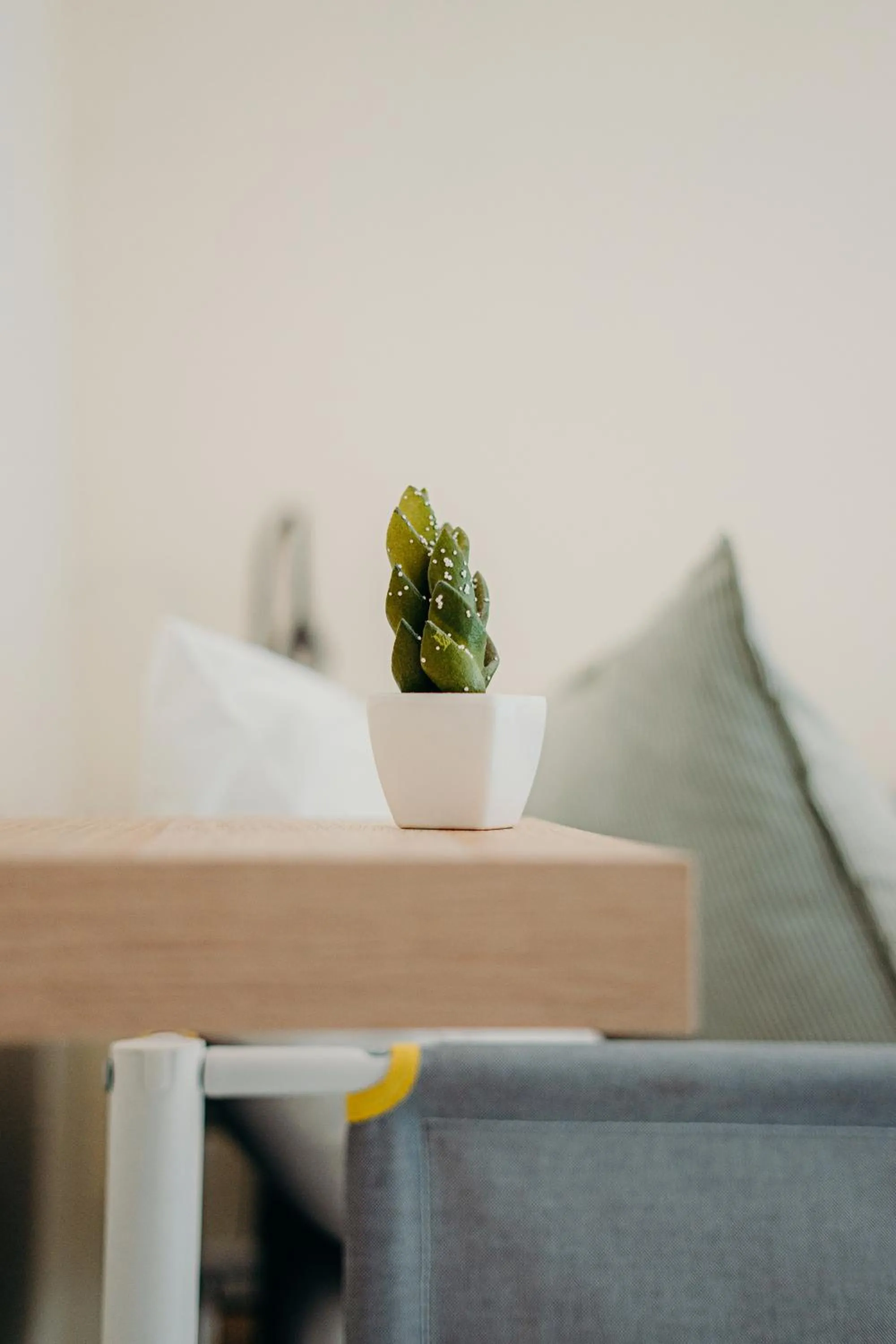 Decorative detail in Green Coast Surf House