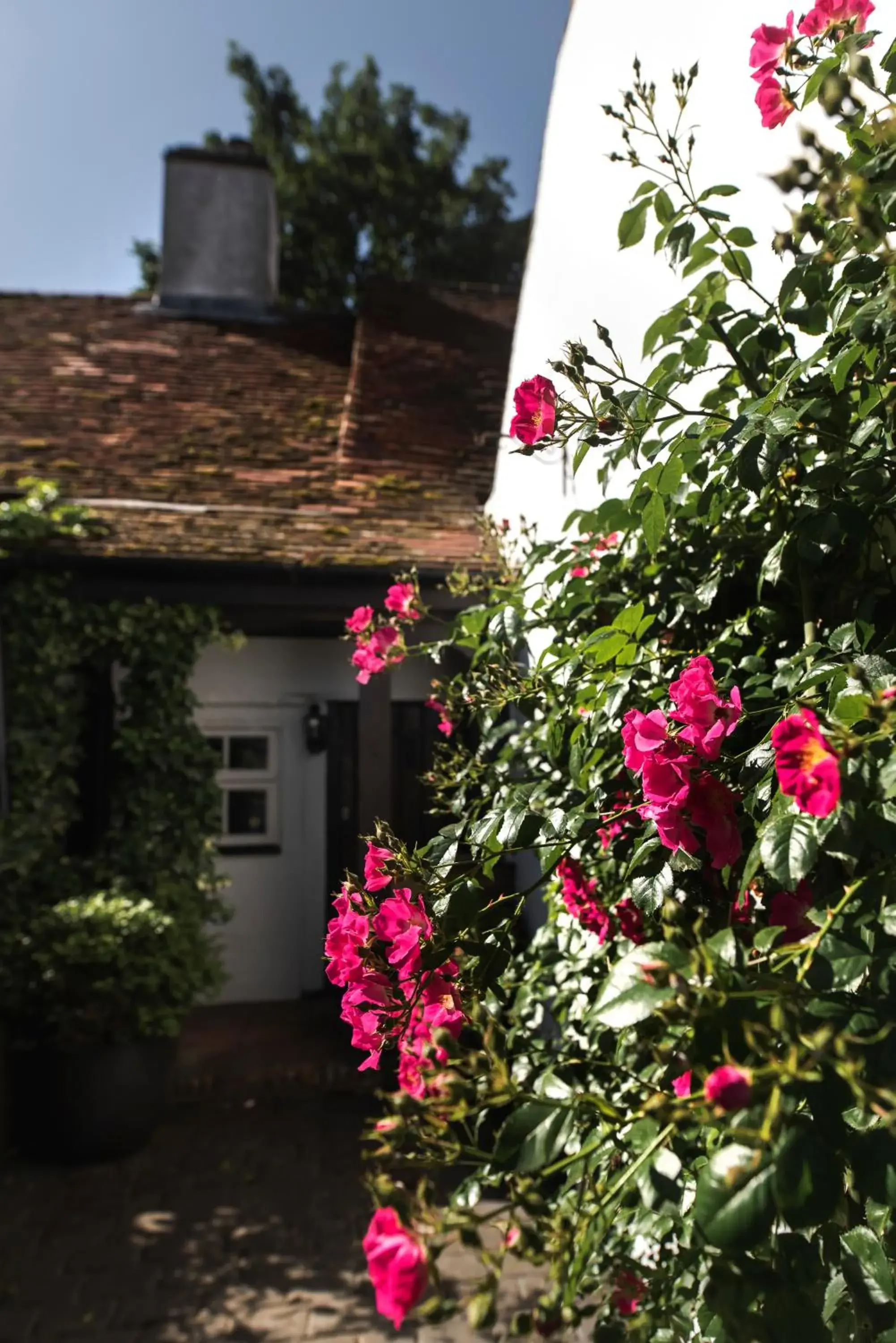 Bird's eye view in The Jasmine Room Bird's eye view in The Jasmine Room
