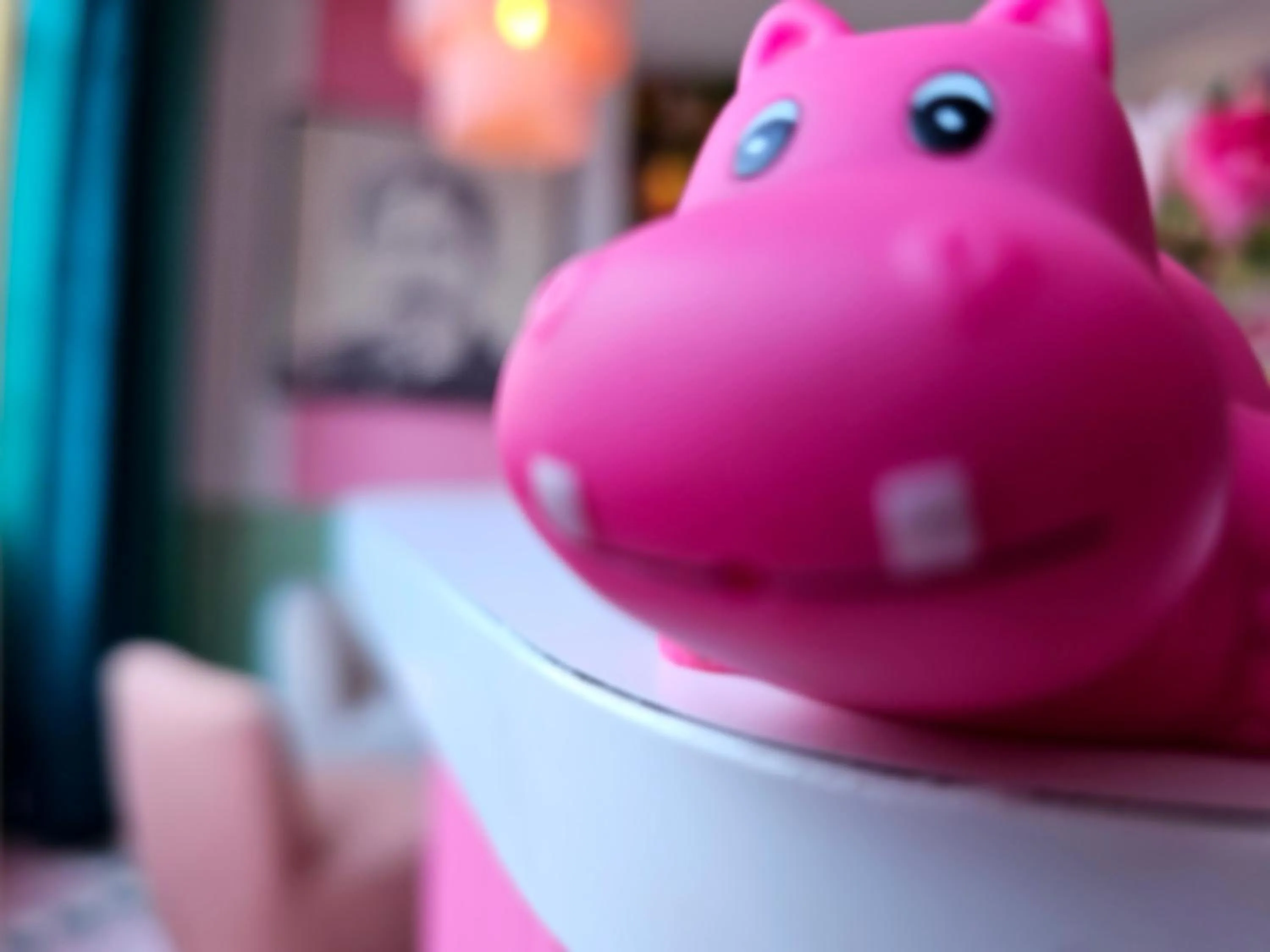 Decorative detail in Hotel La Petite Rosa