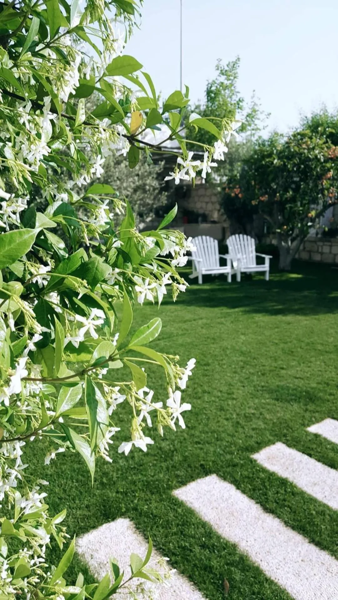 Garden in Peremere Alacati Otel