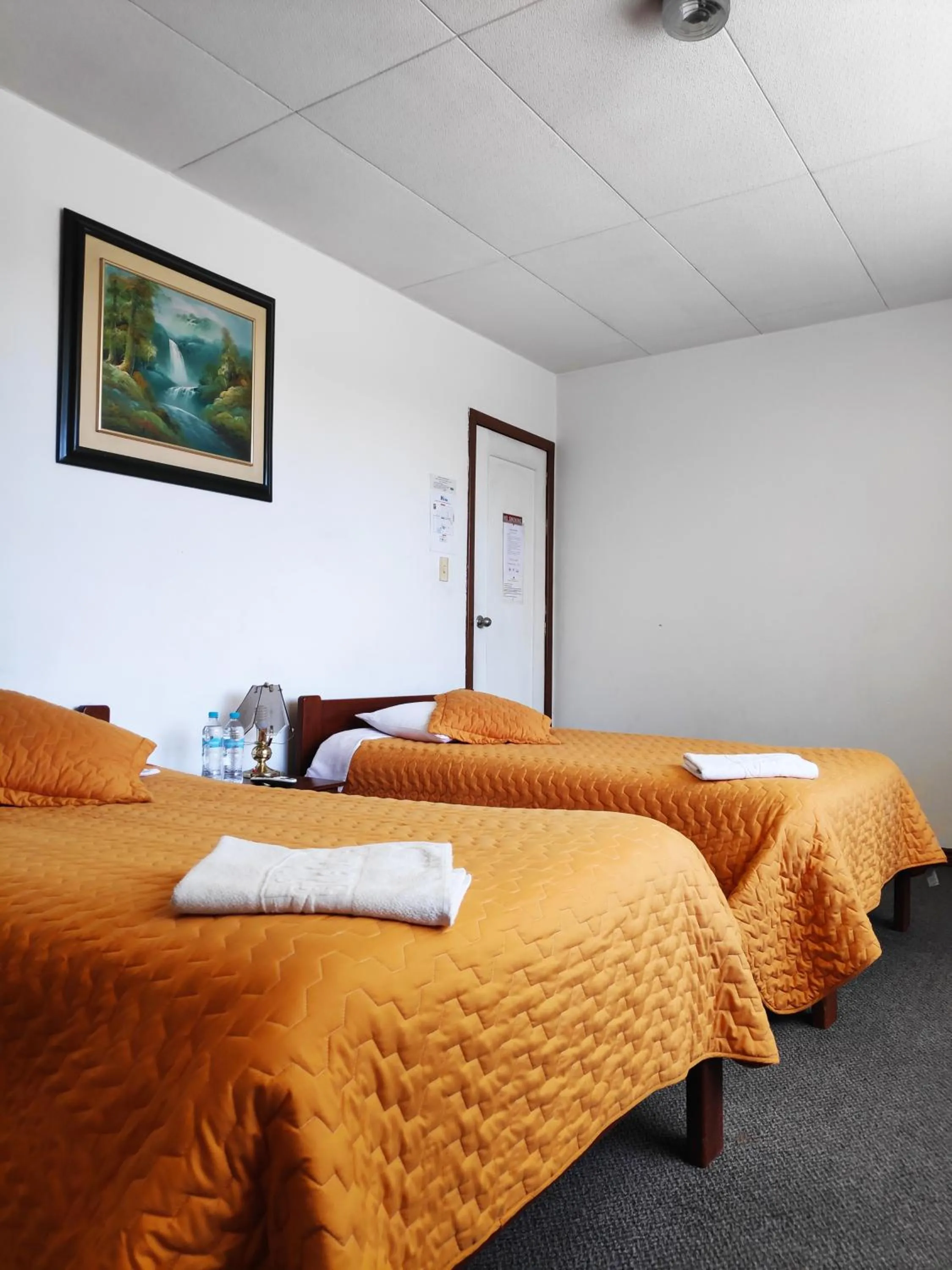 Bed in Hotel 9 de Octubre