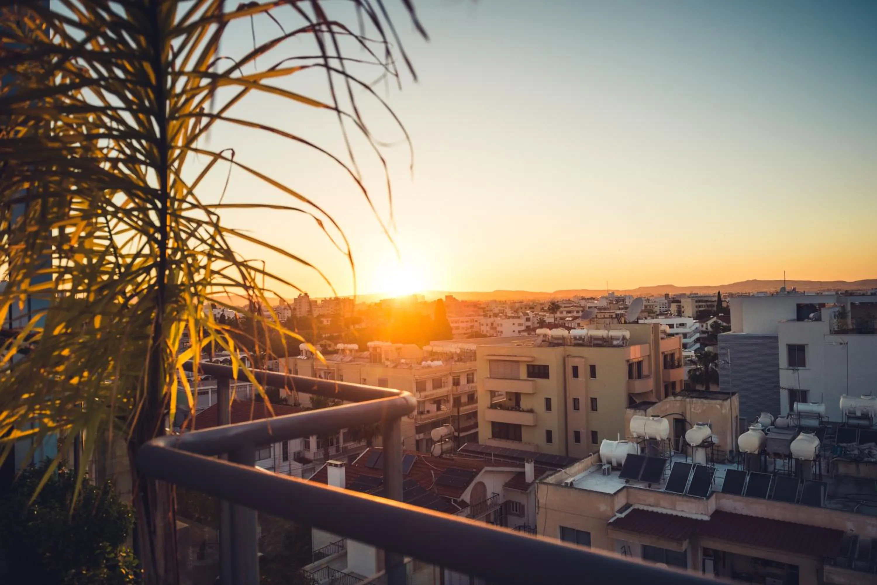 Restaurant/places to eat in Rise Urban Art Hotel