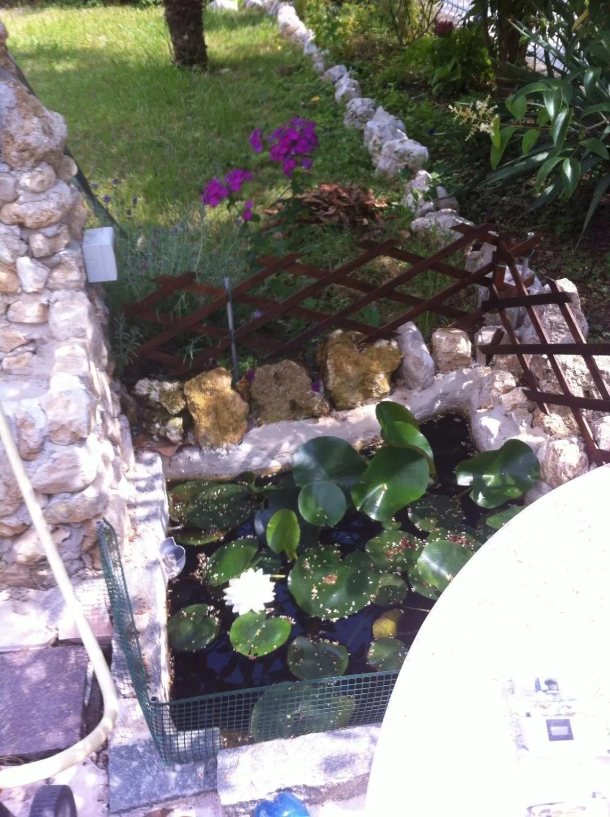 A casa di mamma