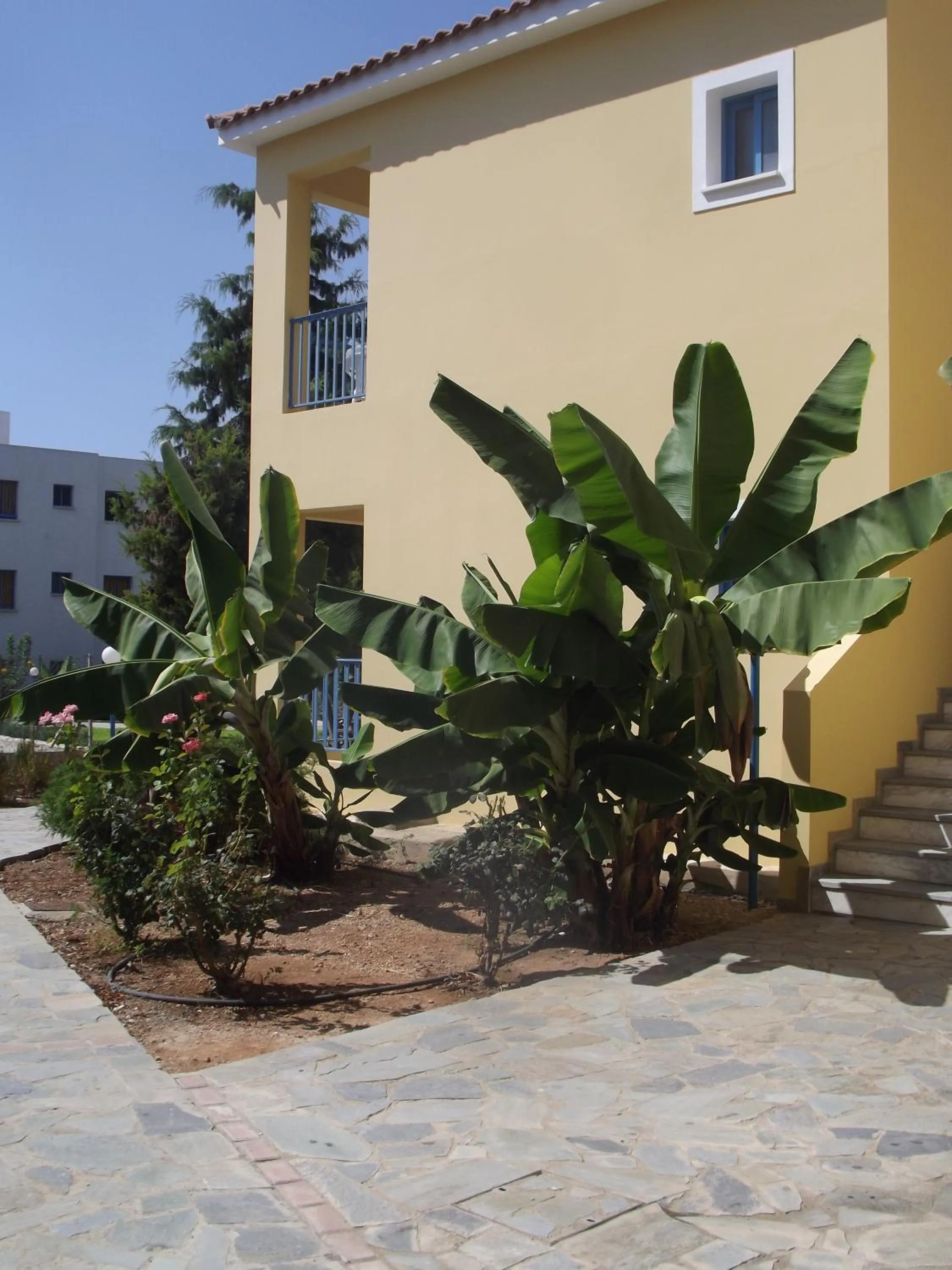 Facade/entrance in Kefalonitis Hotel Apartments