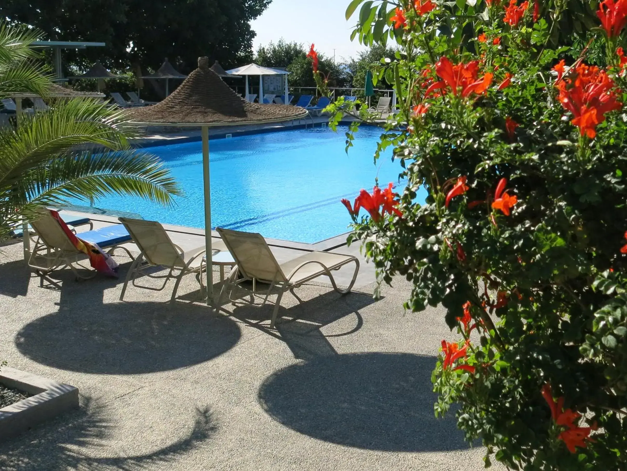 Swimming pool in Marina Hotel Swimming pool in Marina Hotel