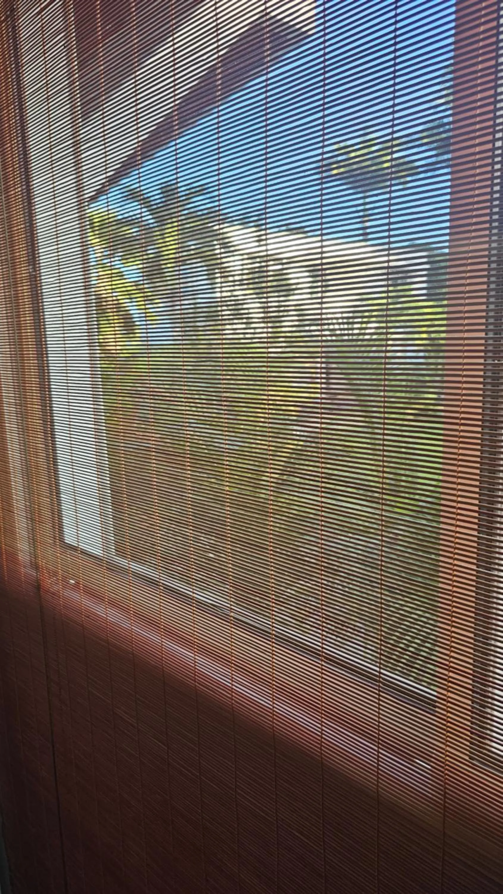 Garden in Habitation Villa Les Cassias