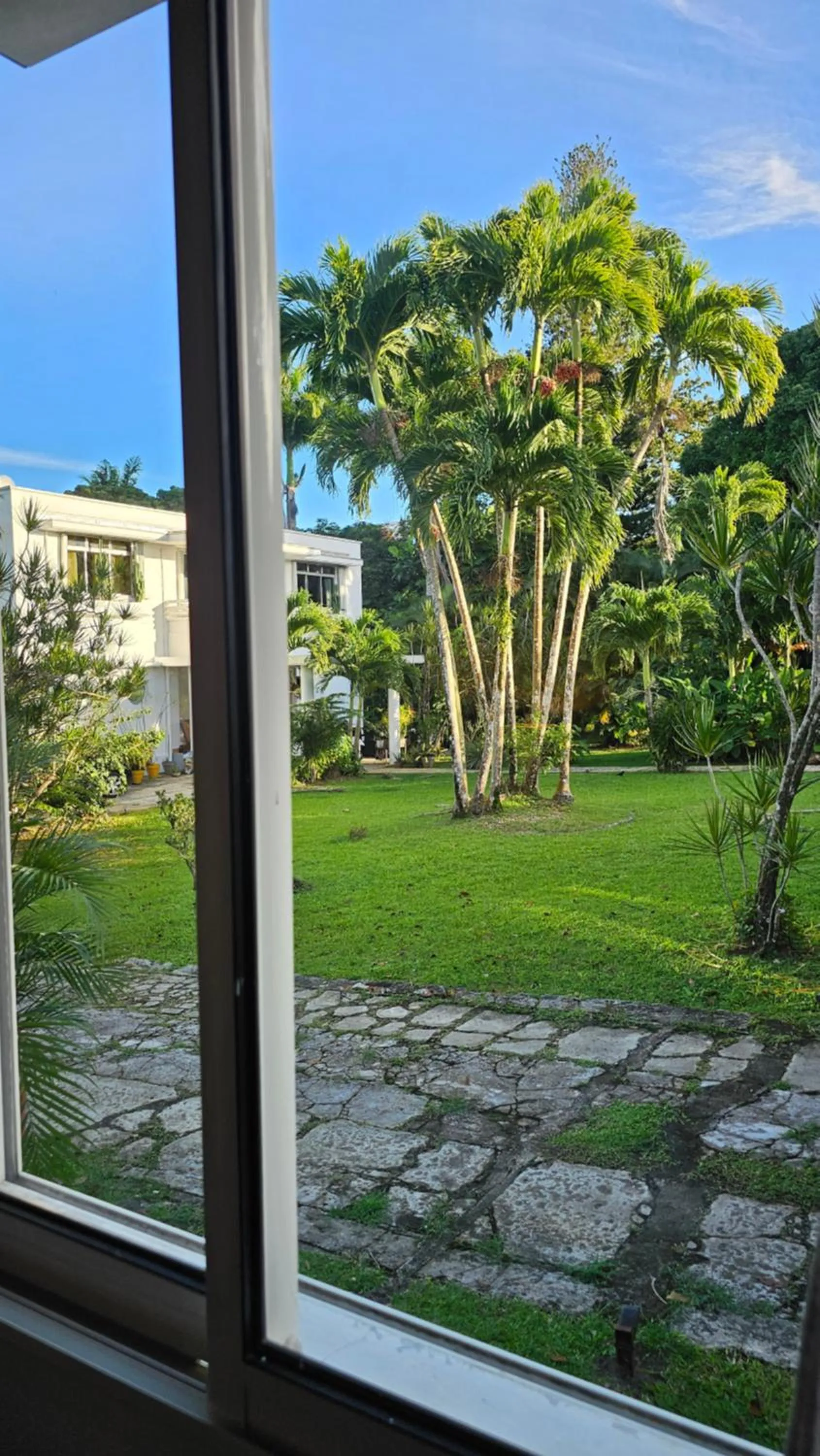 Garden in Habitation Villa Les Cassias