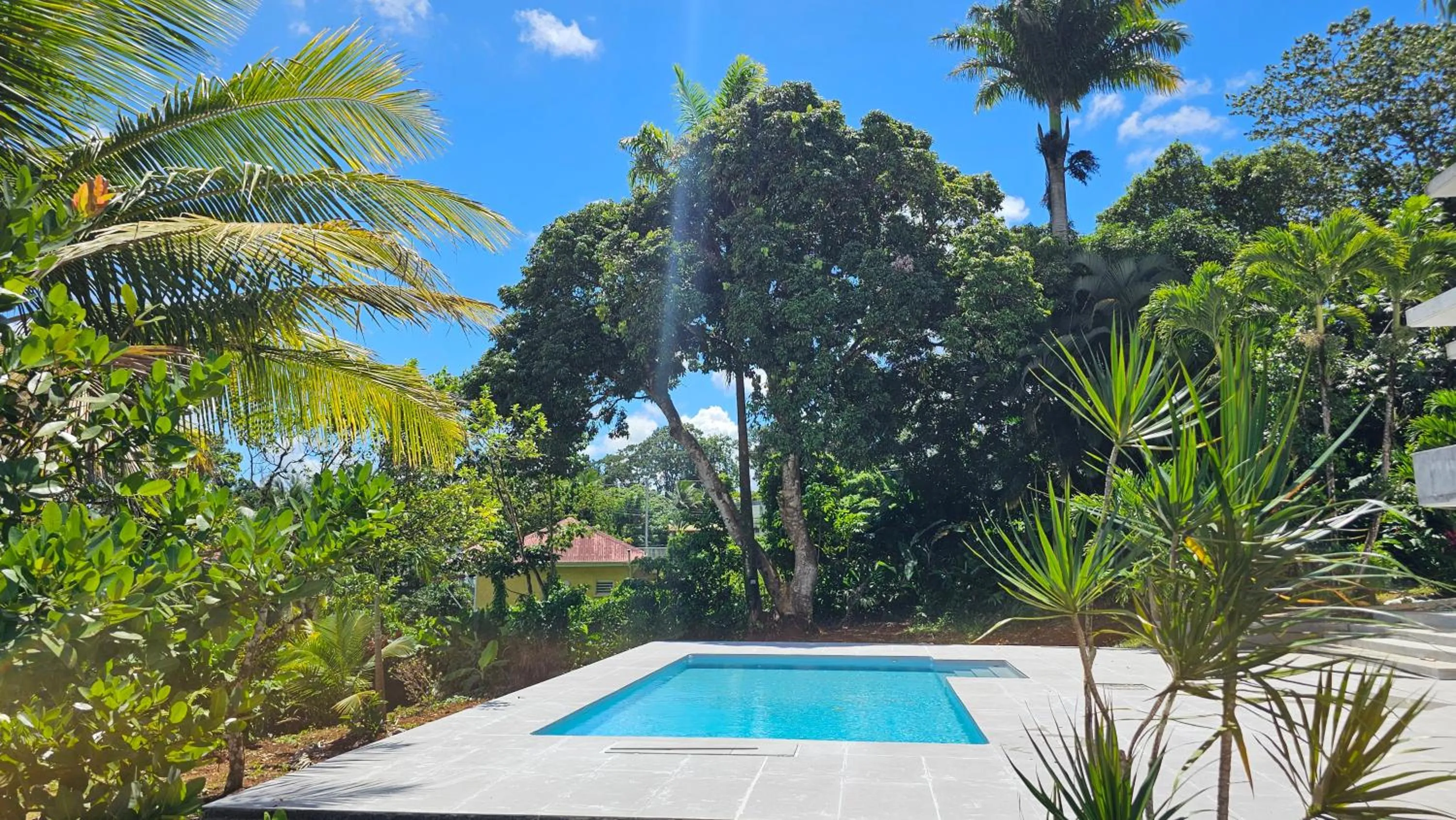 Pool view in Habitation Villa Les Cassias