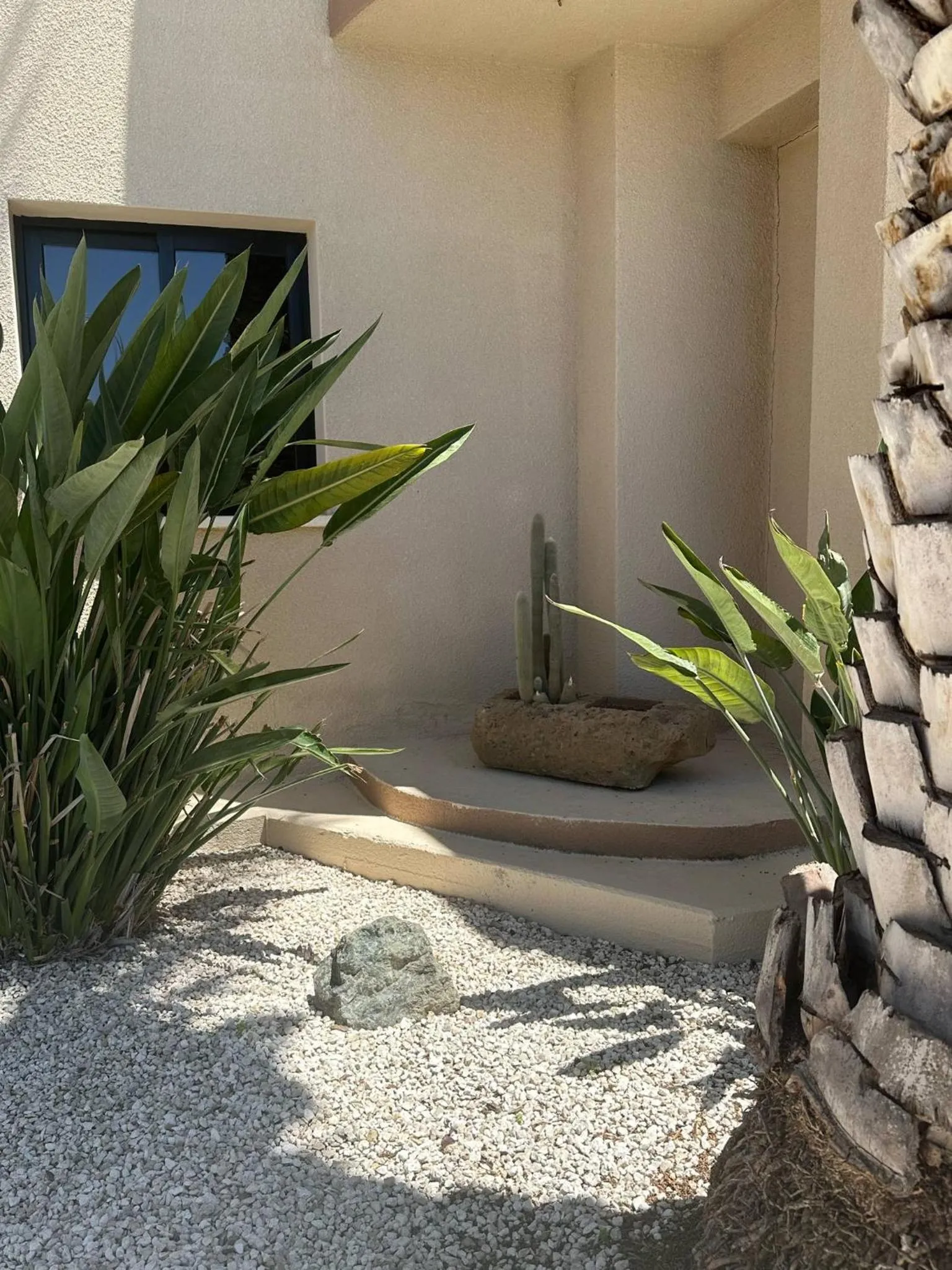 Garden in Anna Hotel Apartments