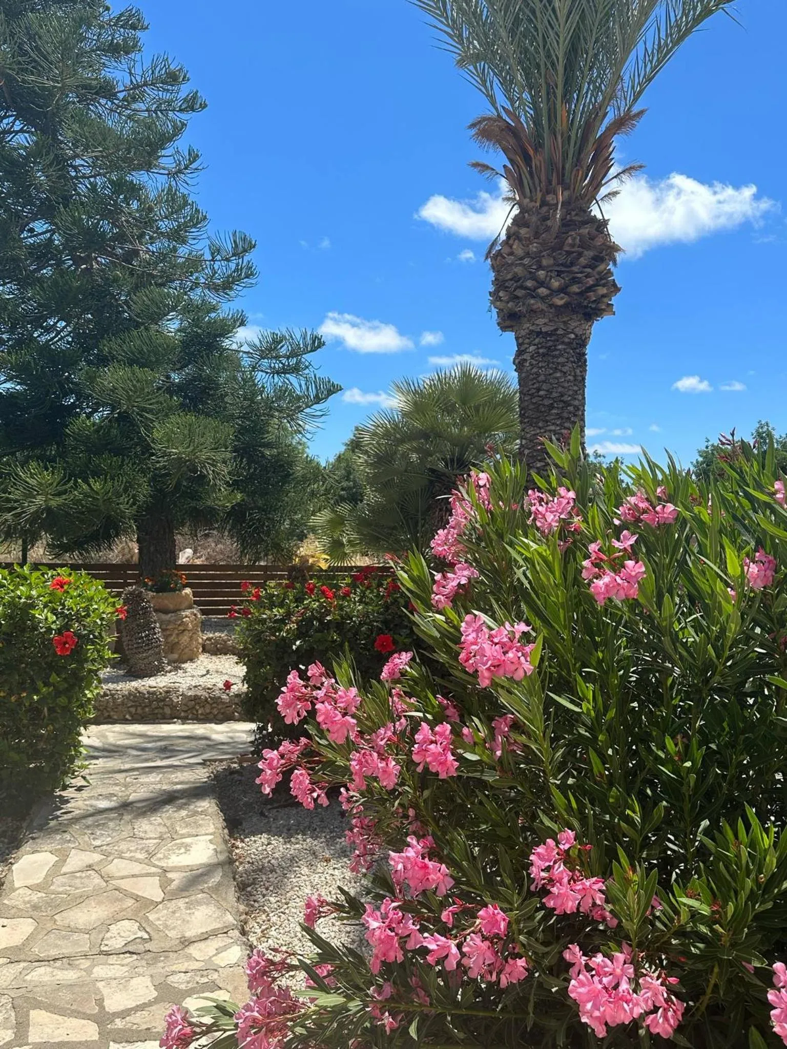 Garden in Anna Hotel Apartments