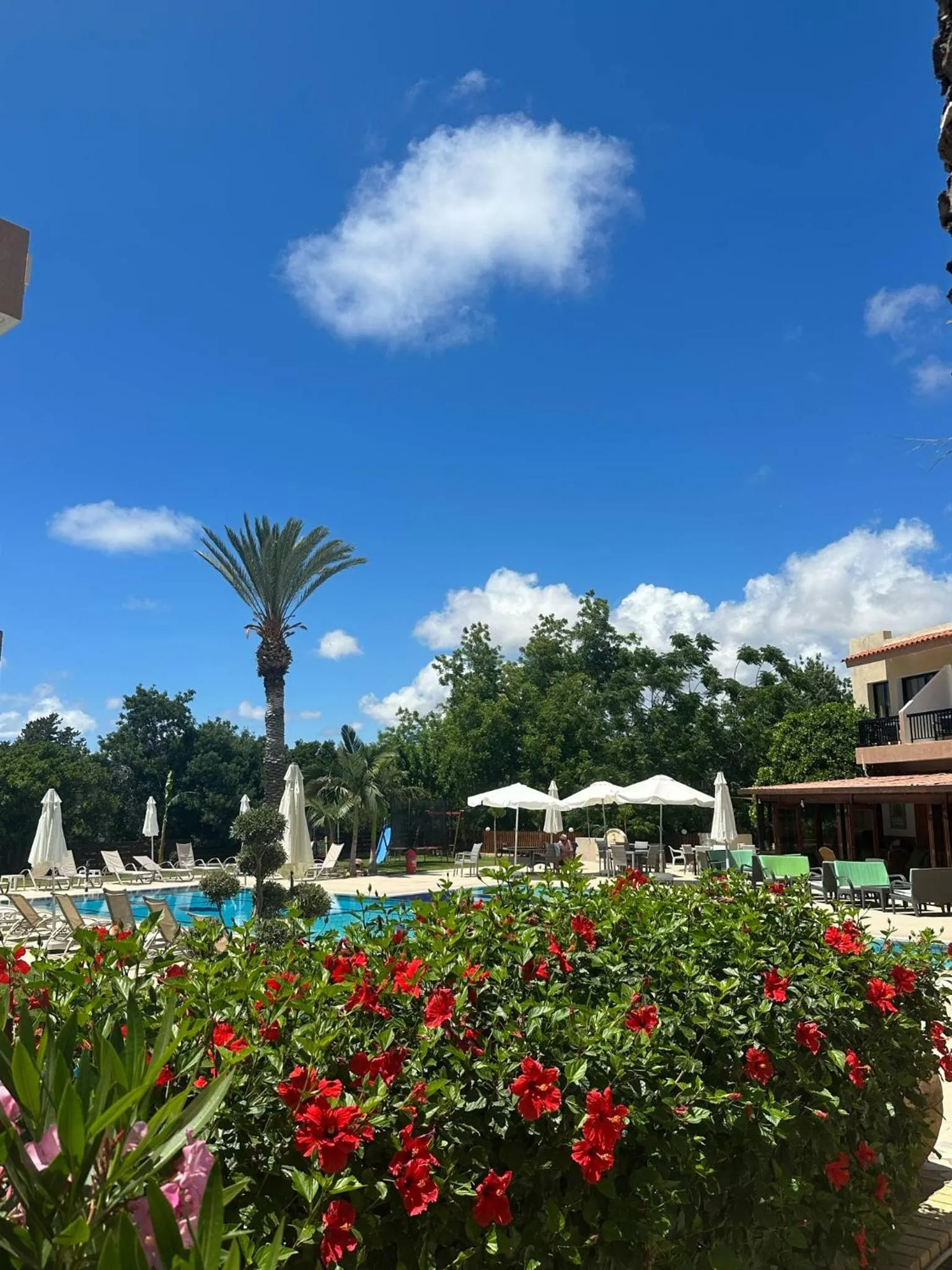 Garden in Anna Hotel Apartments