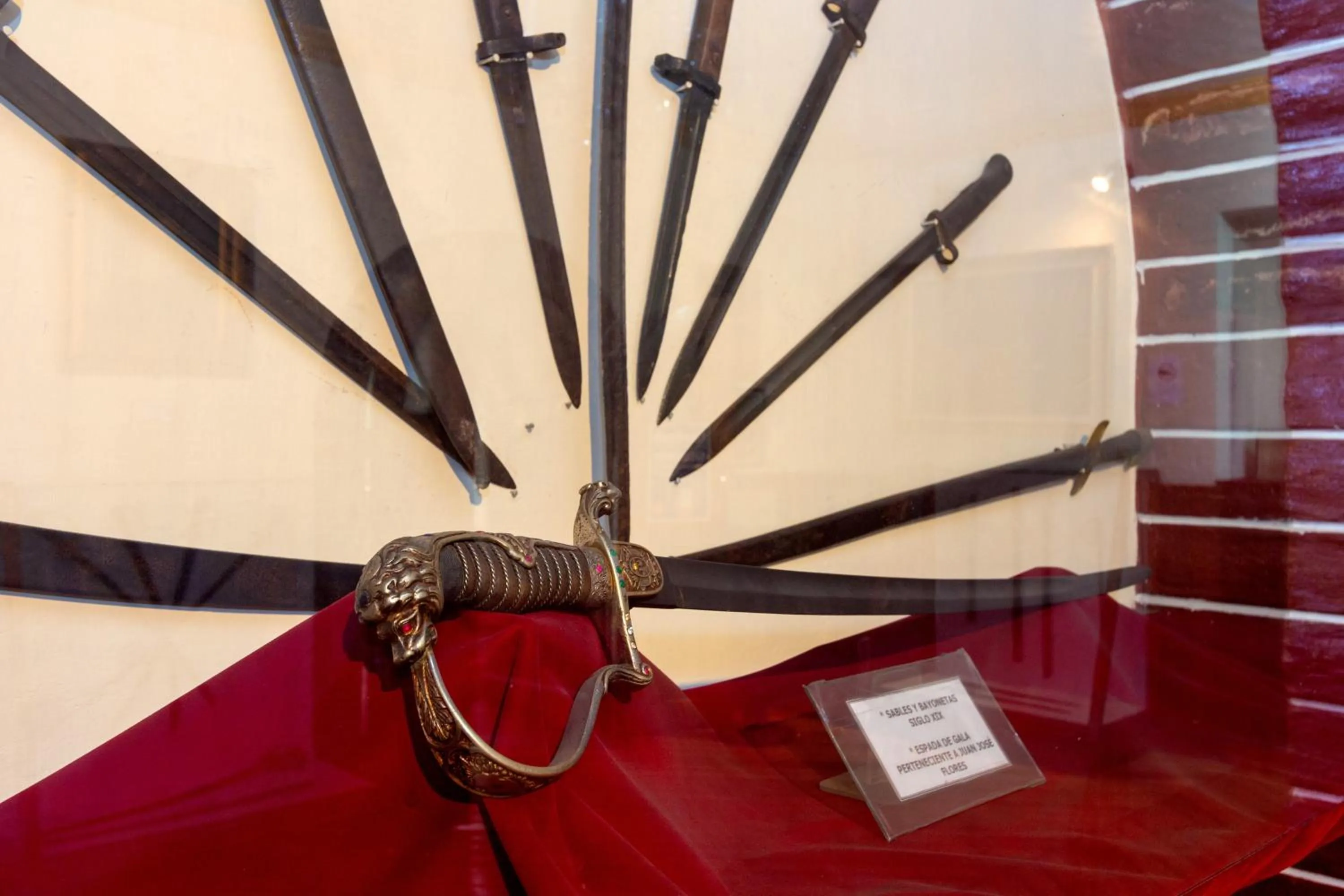 Off site in Friends Hotel & Rooftop - Historic Center & Museums