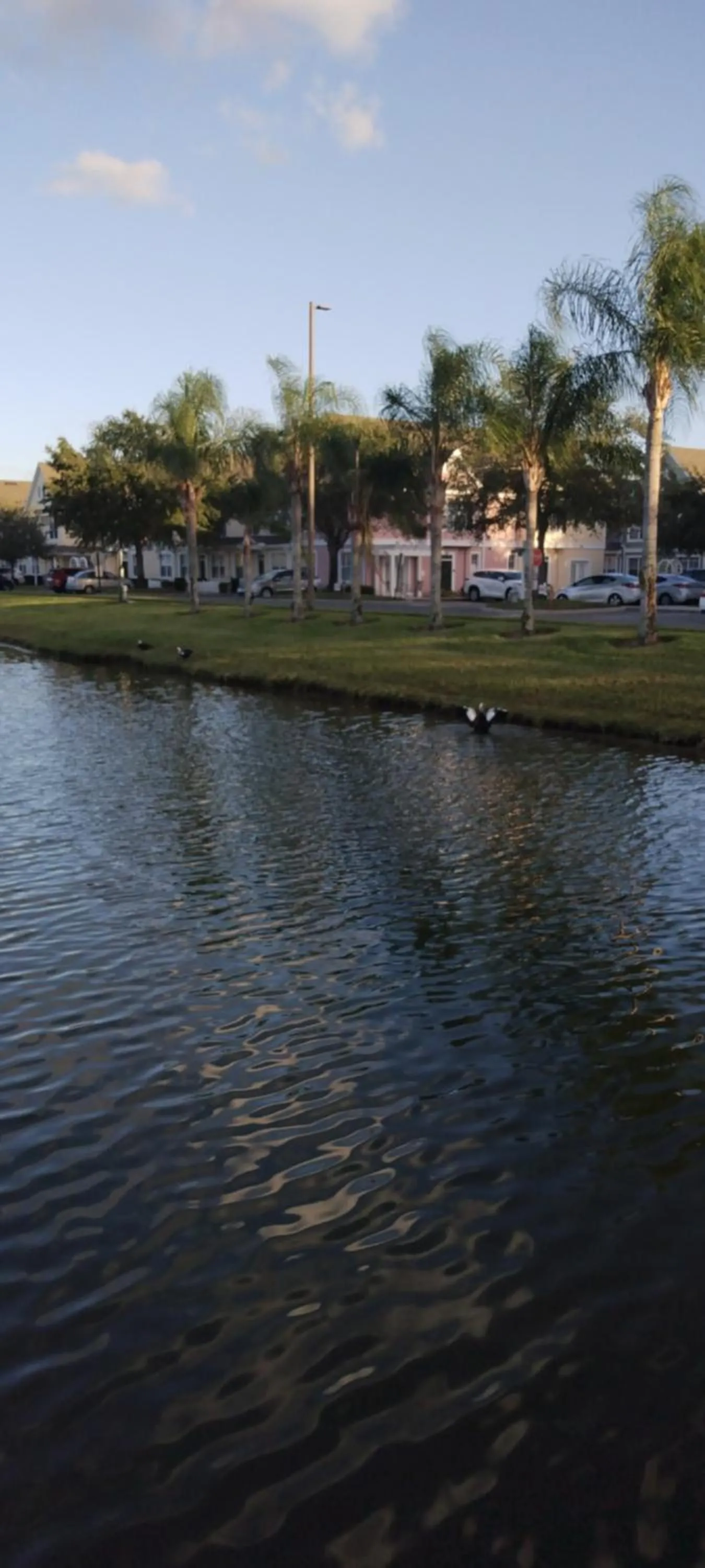 Natural landscape in True Happiness, Housing Near Disney Word