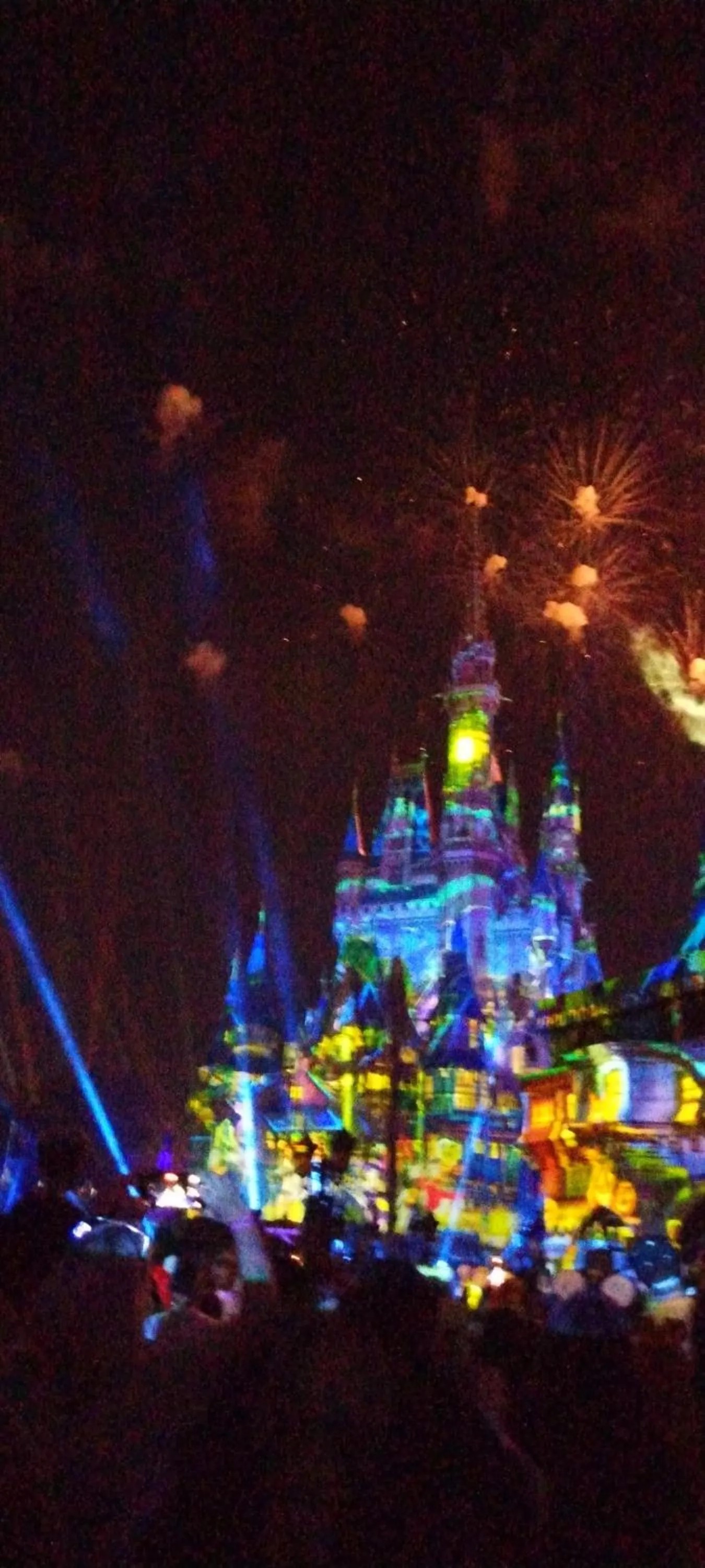 Night in True Happiness, Housing Near Disney Word