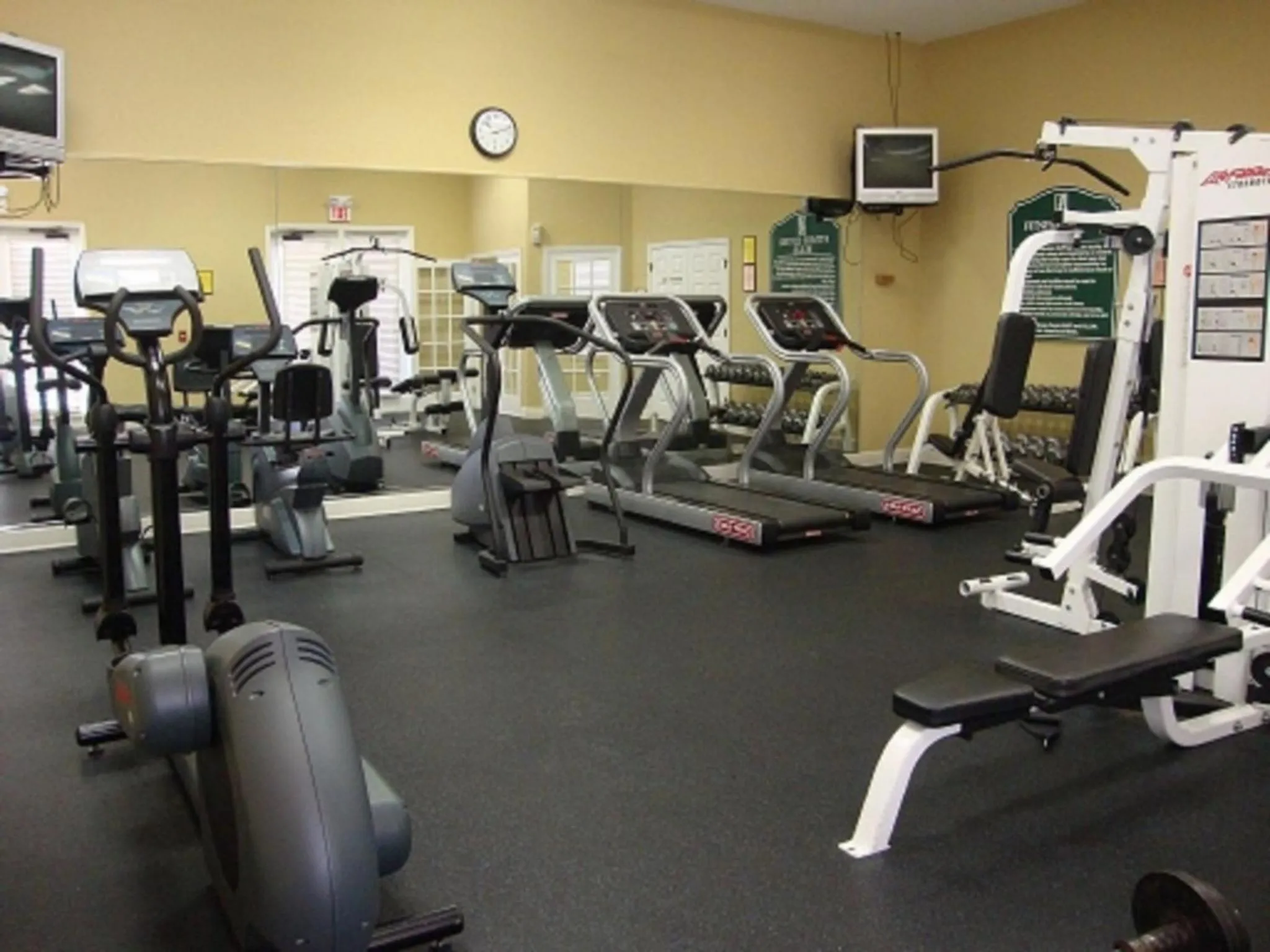 Activities in True Happiness, Housing Near Disney Word