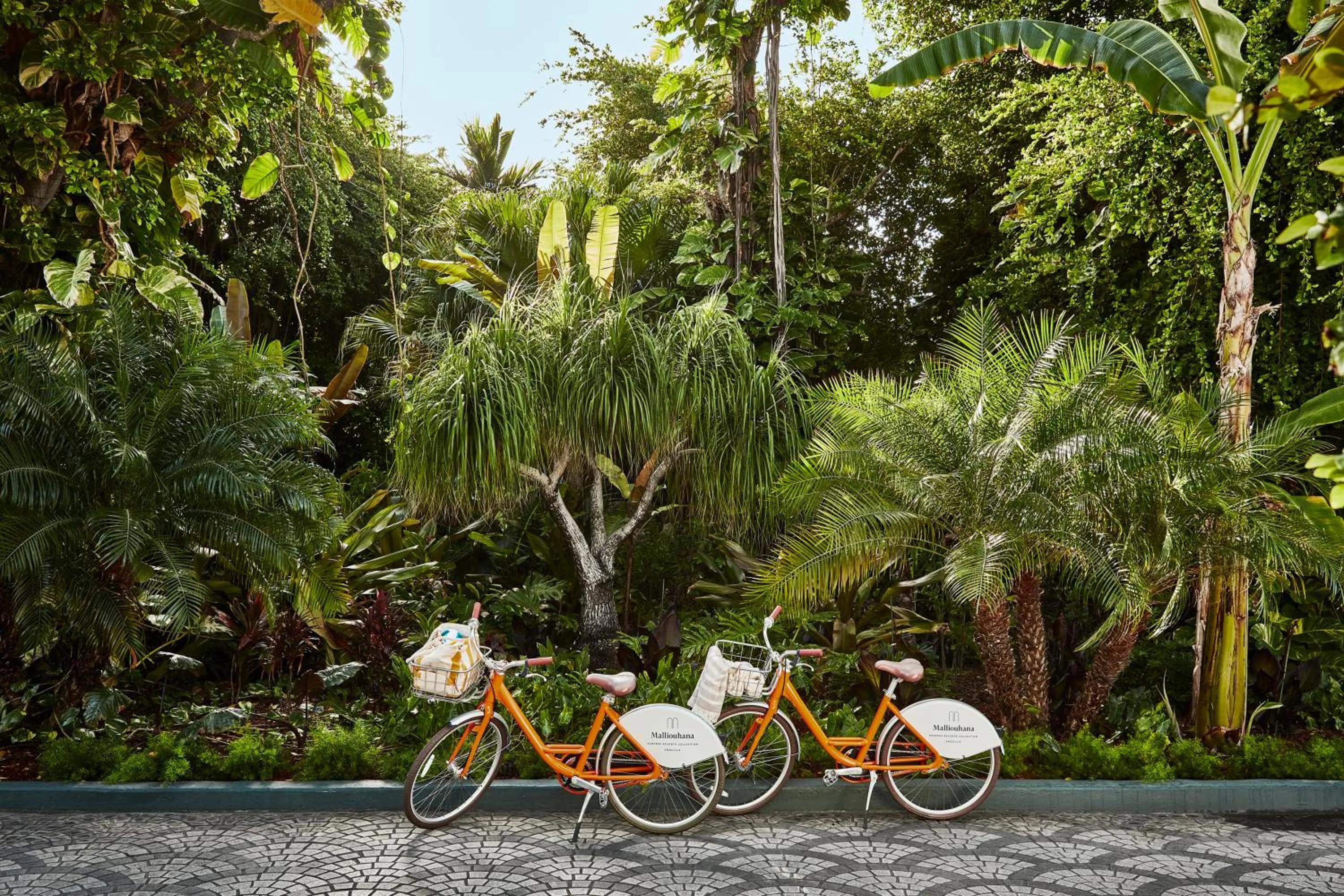 Activities in Malliouhana Resort Anguilla