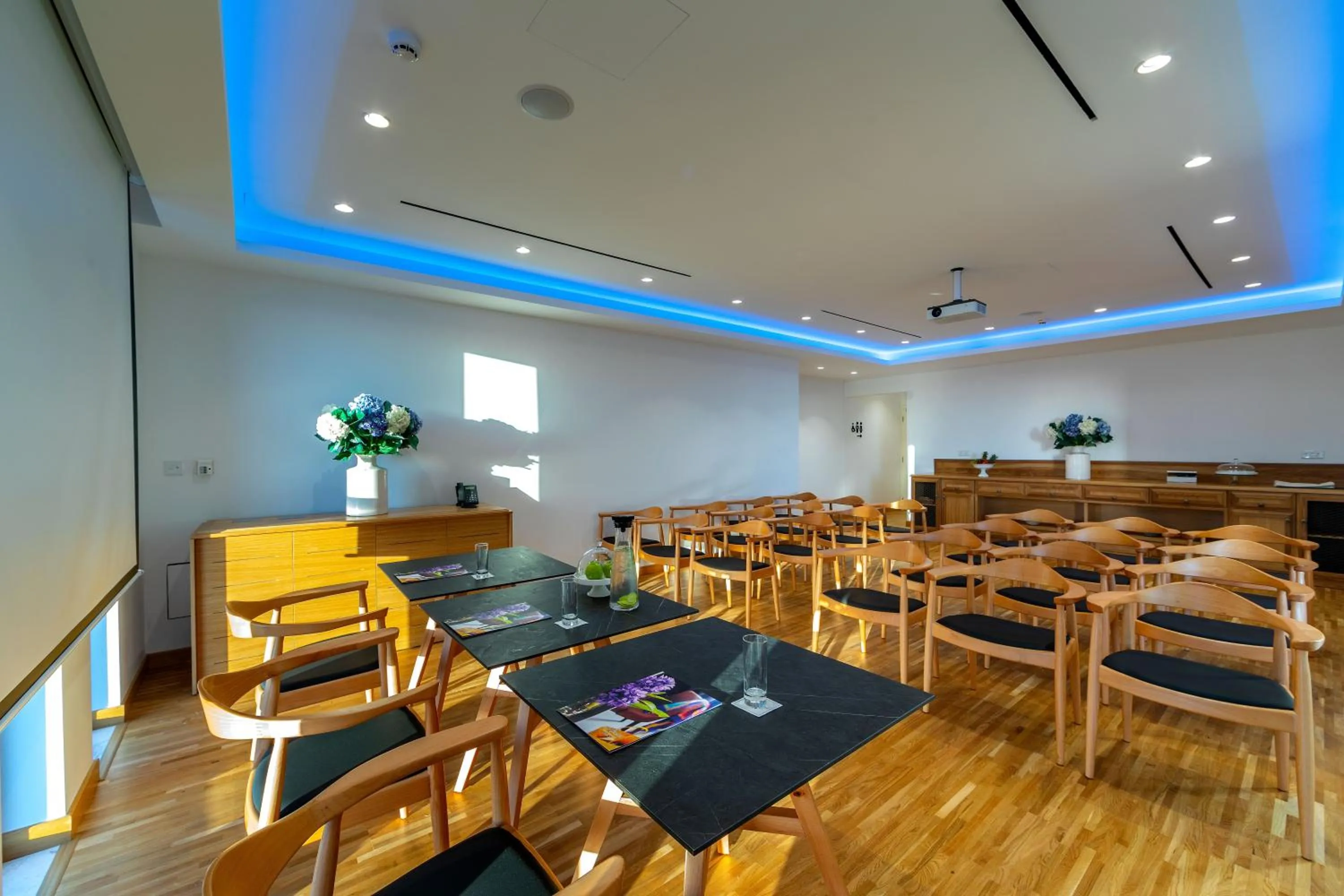 Business facilities in Anemi Hotel & Suites