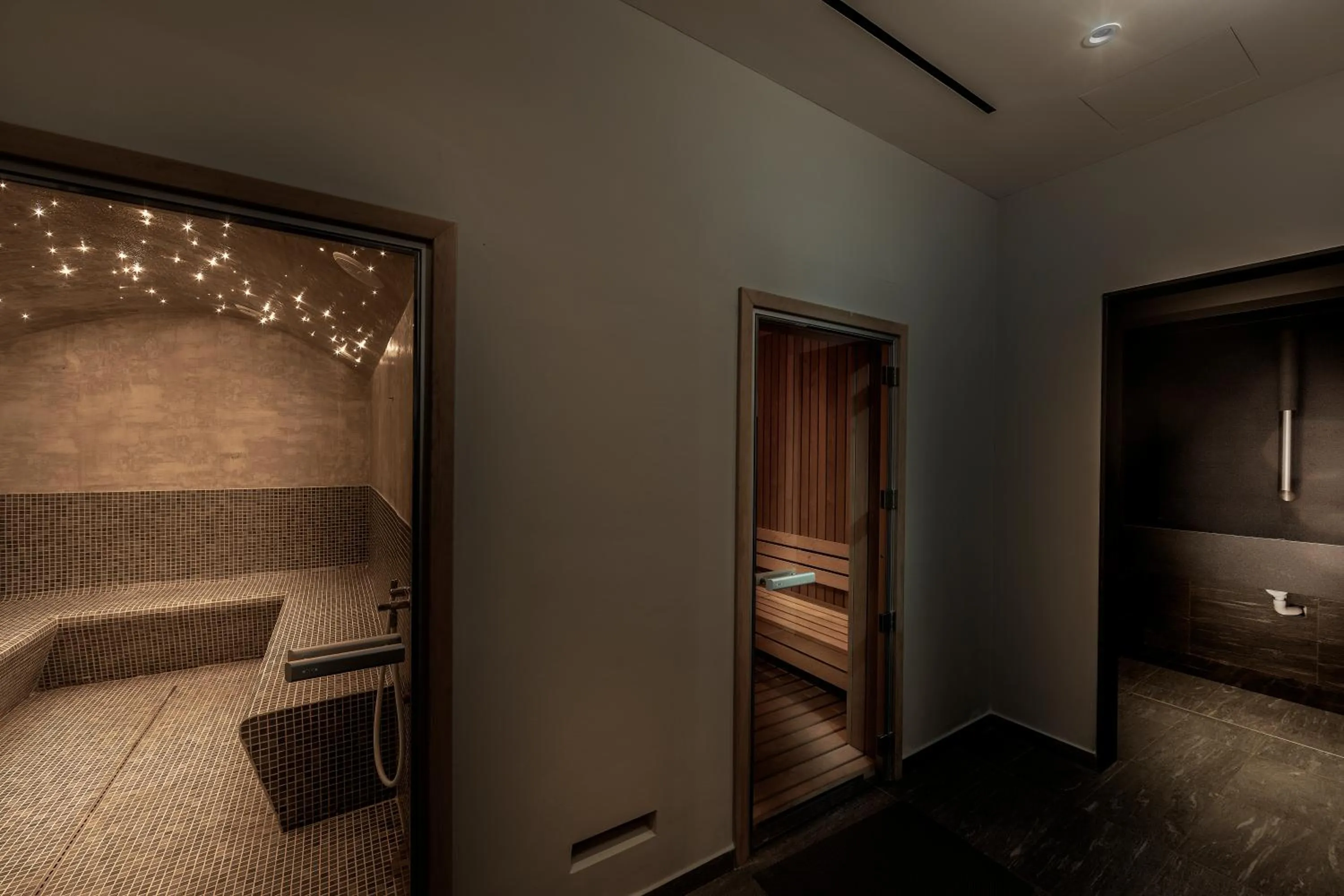 Sauna, Bed in Anemi Hotel & Suites