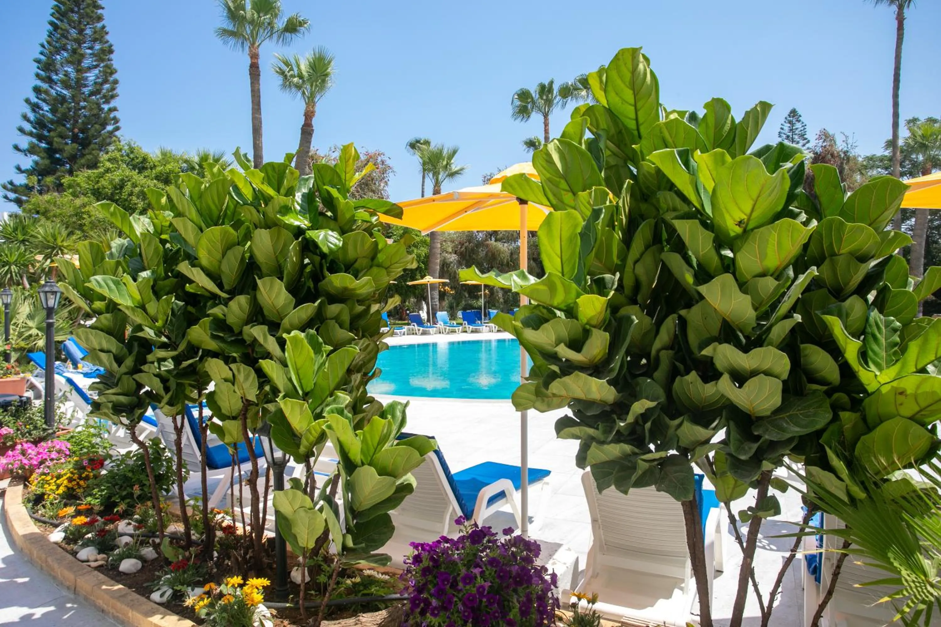 Property building in Papouis Protaras Hotel