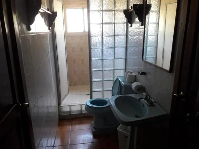 Coconut Tree West End