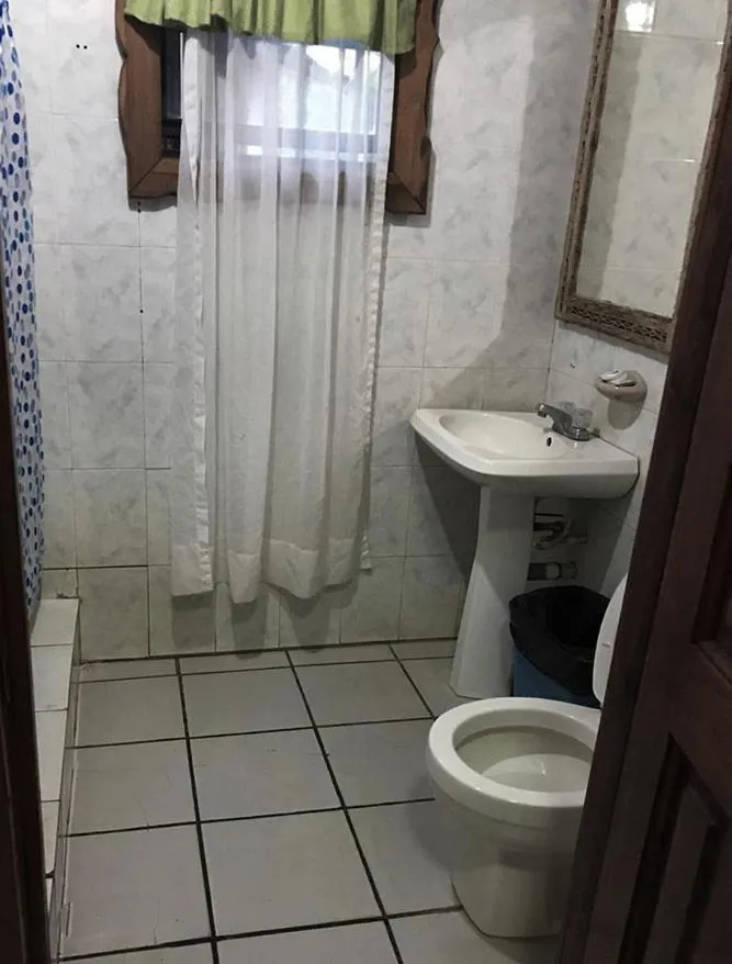 Coconut Tree West End