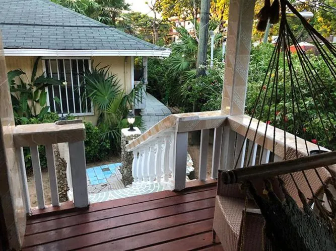 Coconut Tree West End