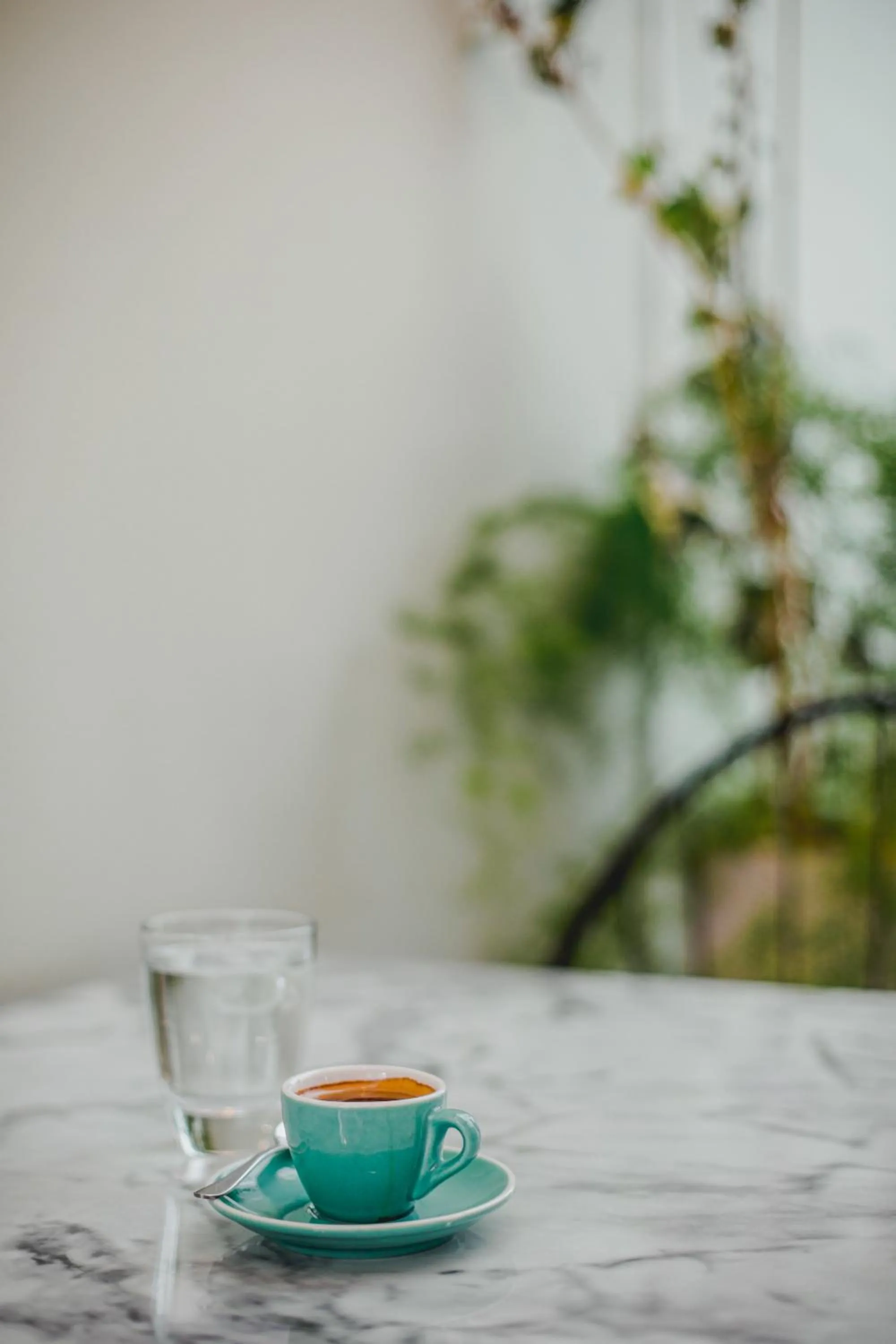 Garden in Roseum Boutique Hotel