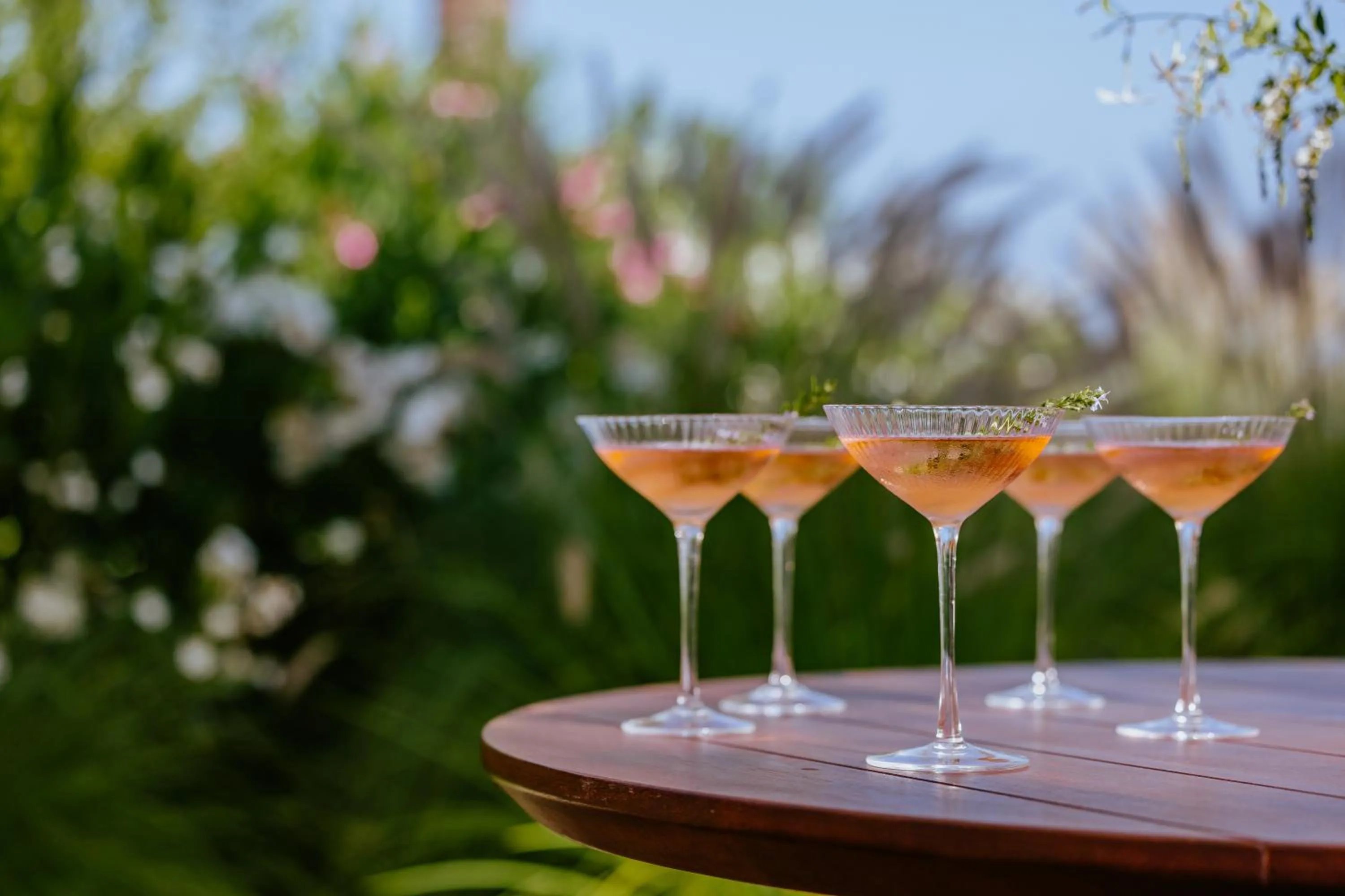 Food and drinks in Alion Beach Hotel