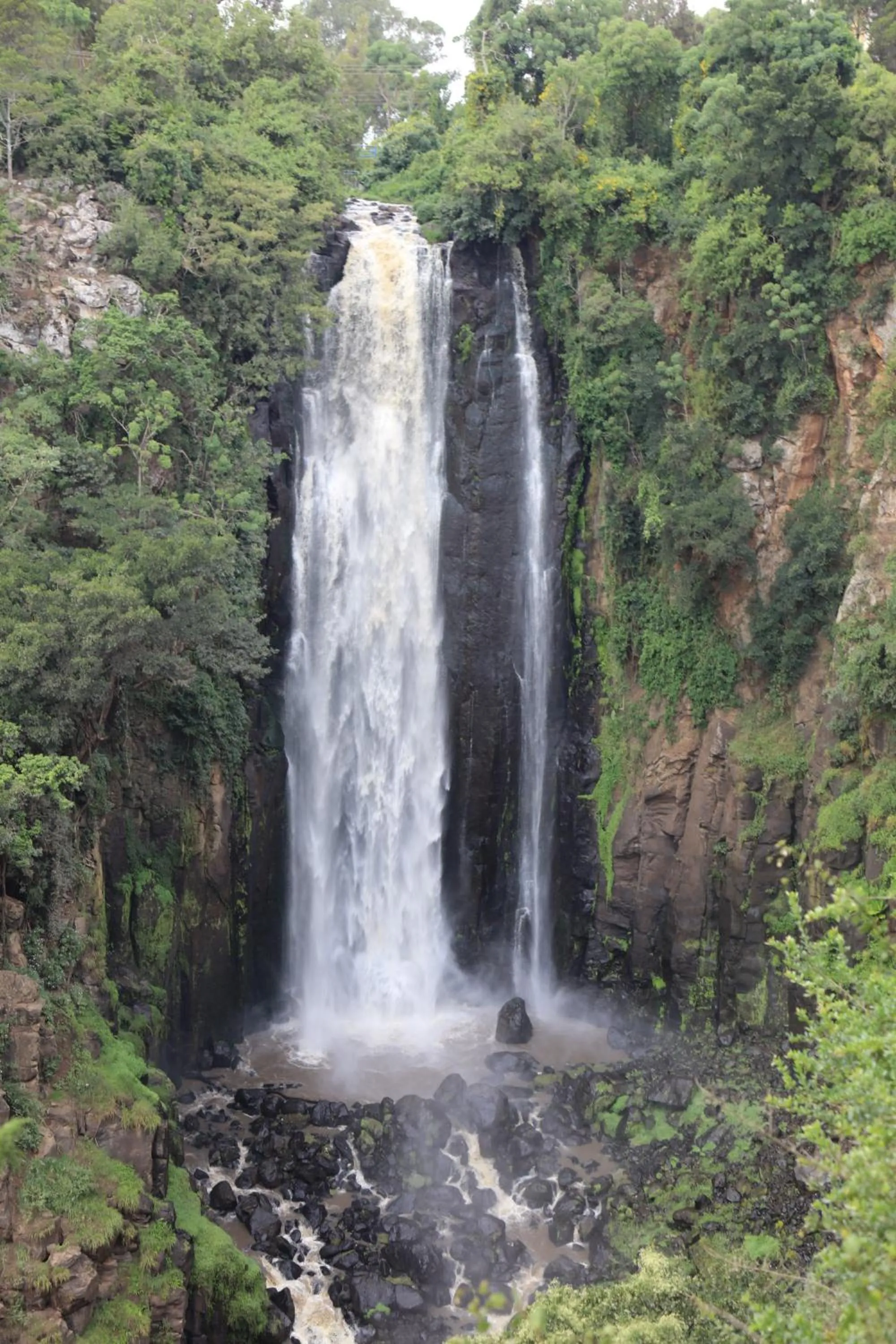 Nearby landmark in Panari Resort, BW Signature Collection