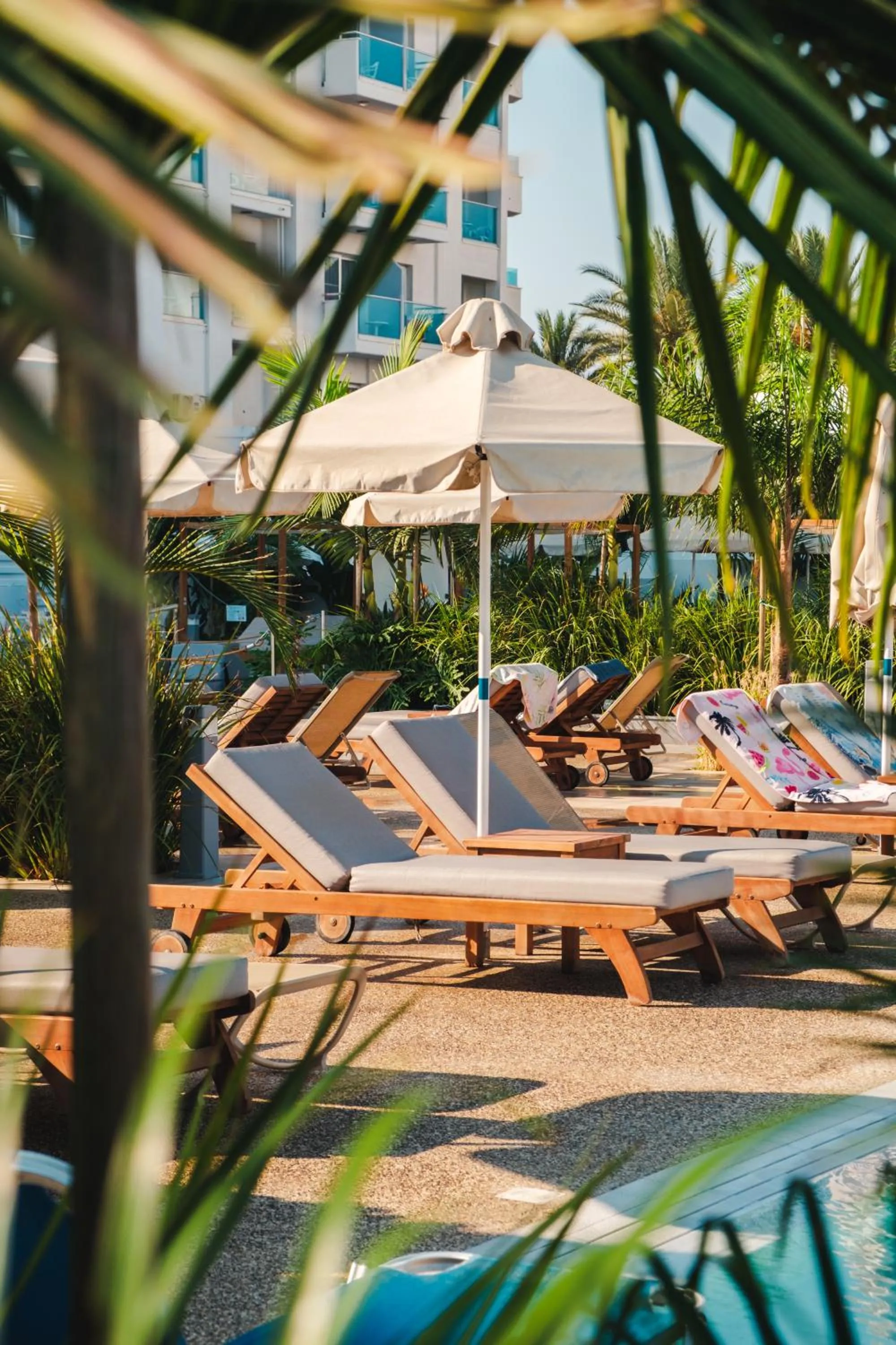sunbed in Kapetanios Bay Hotel Protaras