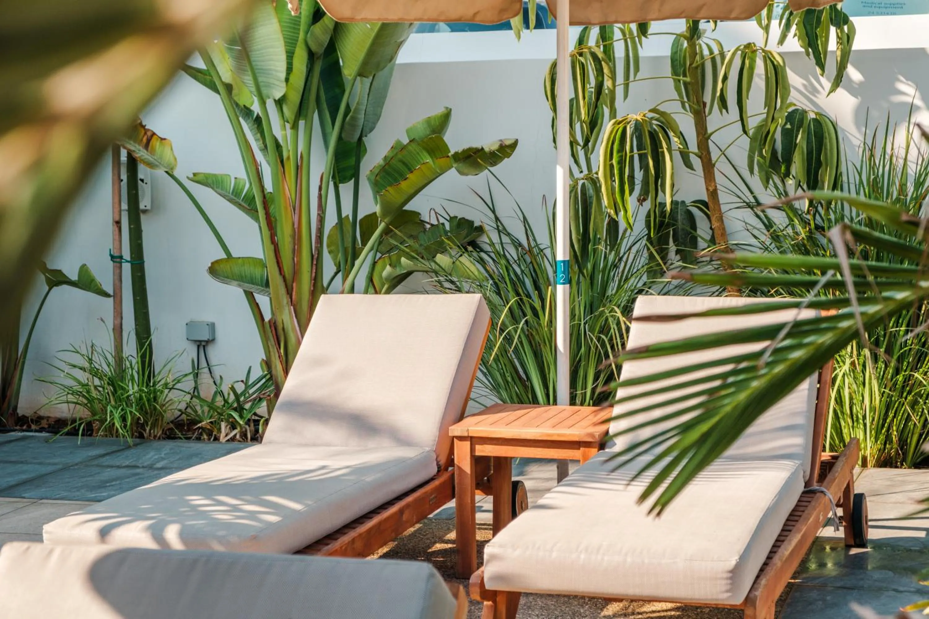 sunbed in Kapetanios Bay Hotel Protaras