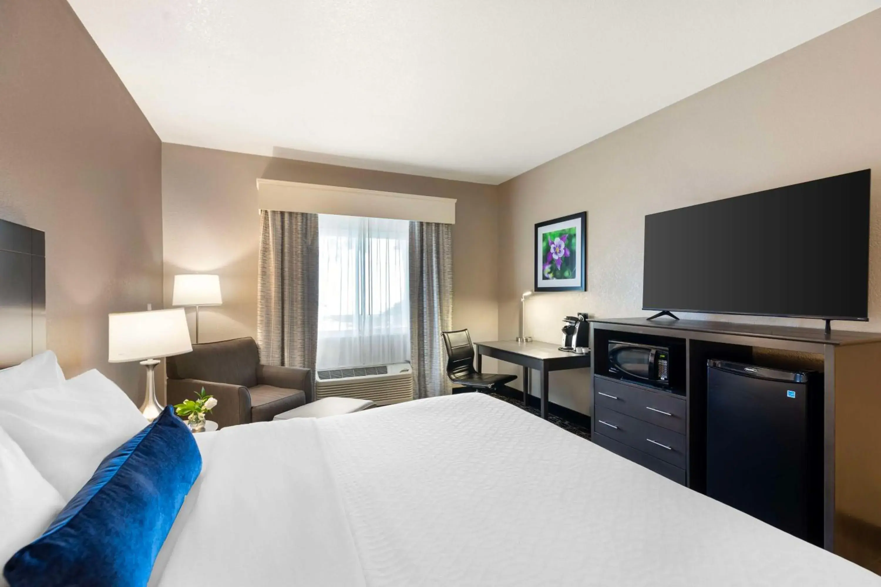 Bedroom, Bed in Best Western Greeley Bedroom, Bed in Best Western Greeley