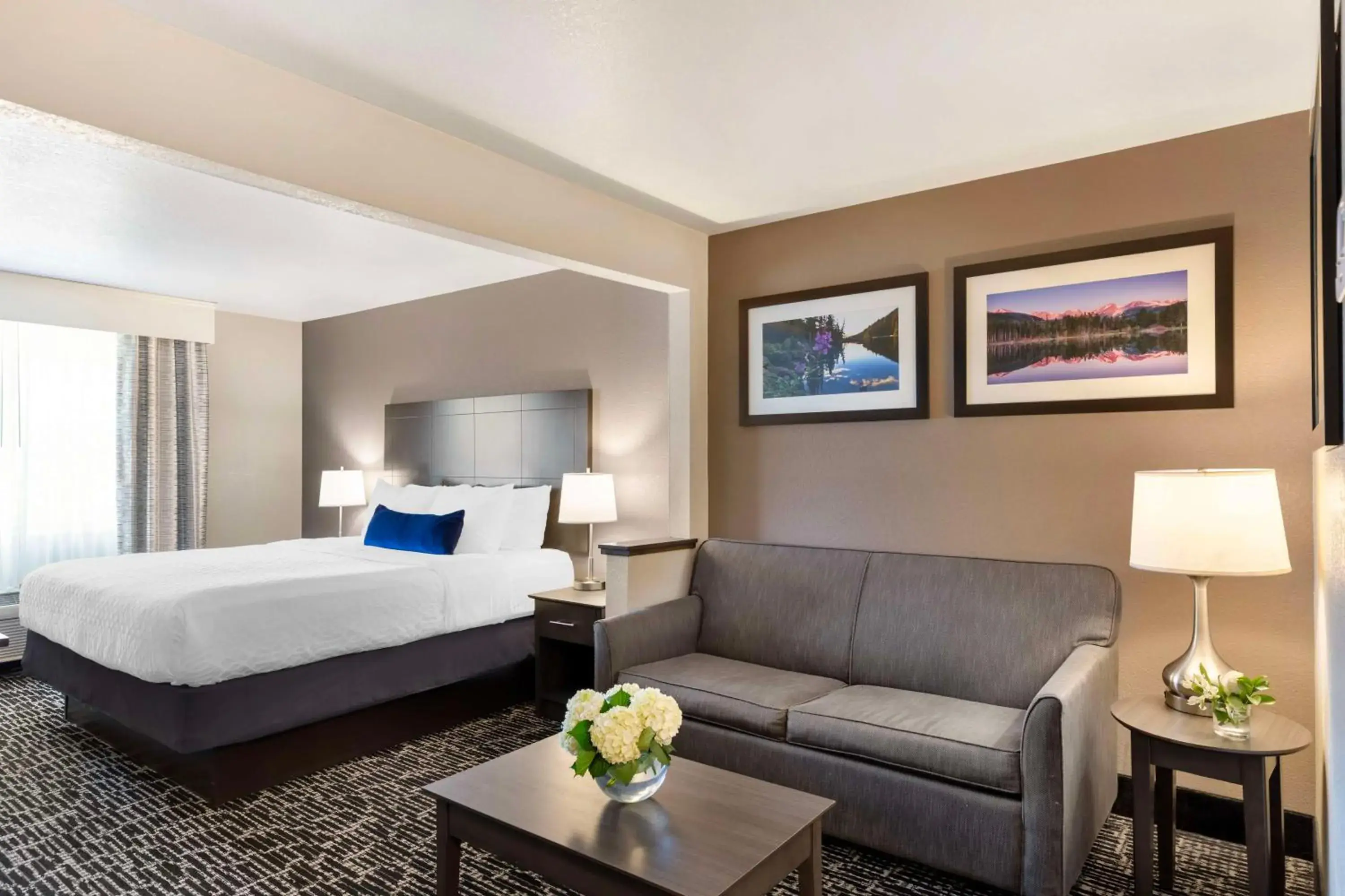 Bedroom, Bed in Best Western Greeley Bedroom, Bed in Best Western Greeley