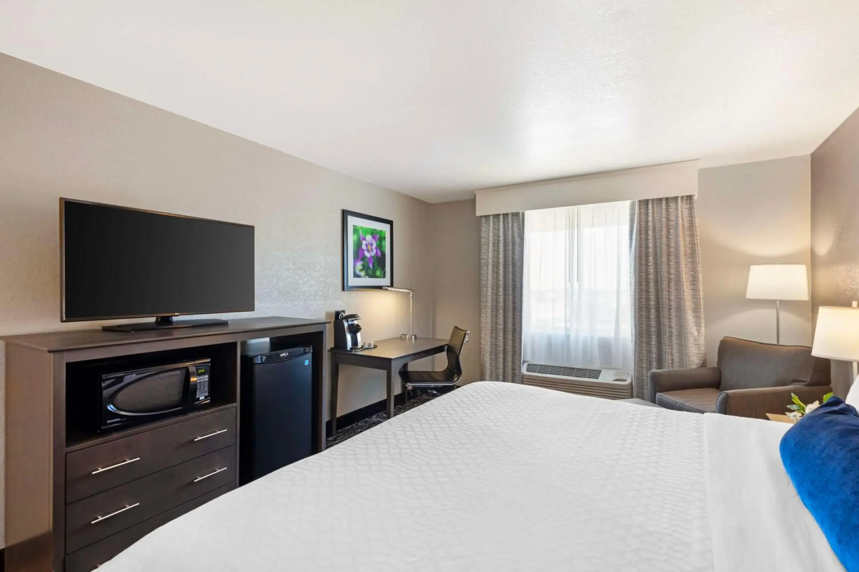 Bedroom, Bed in Best Western Greeley Bedroom, Bed in Best Western Greeley