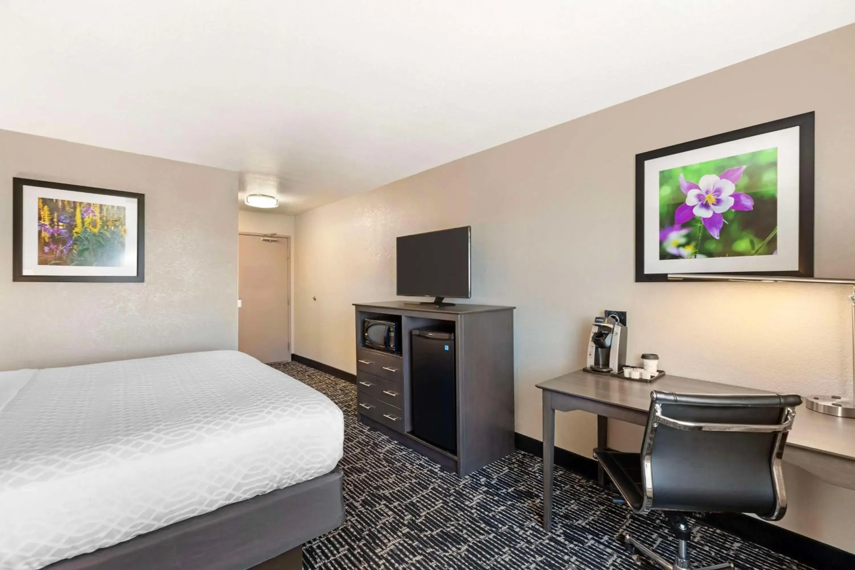 Bedroom, Bed in Best Western Greeley Bedroom, Bed in Best Western Greeley