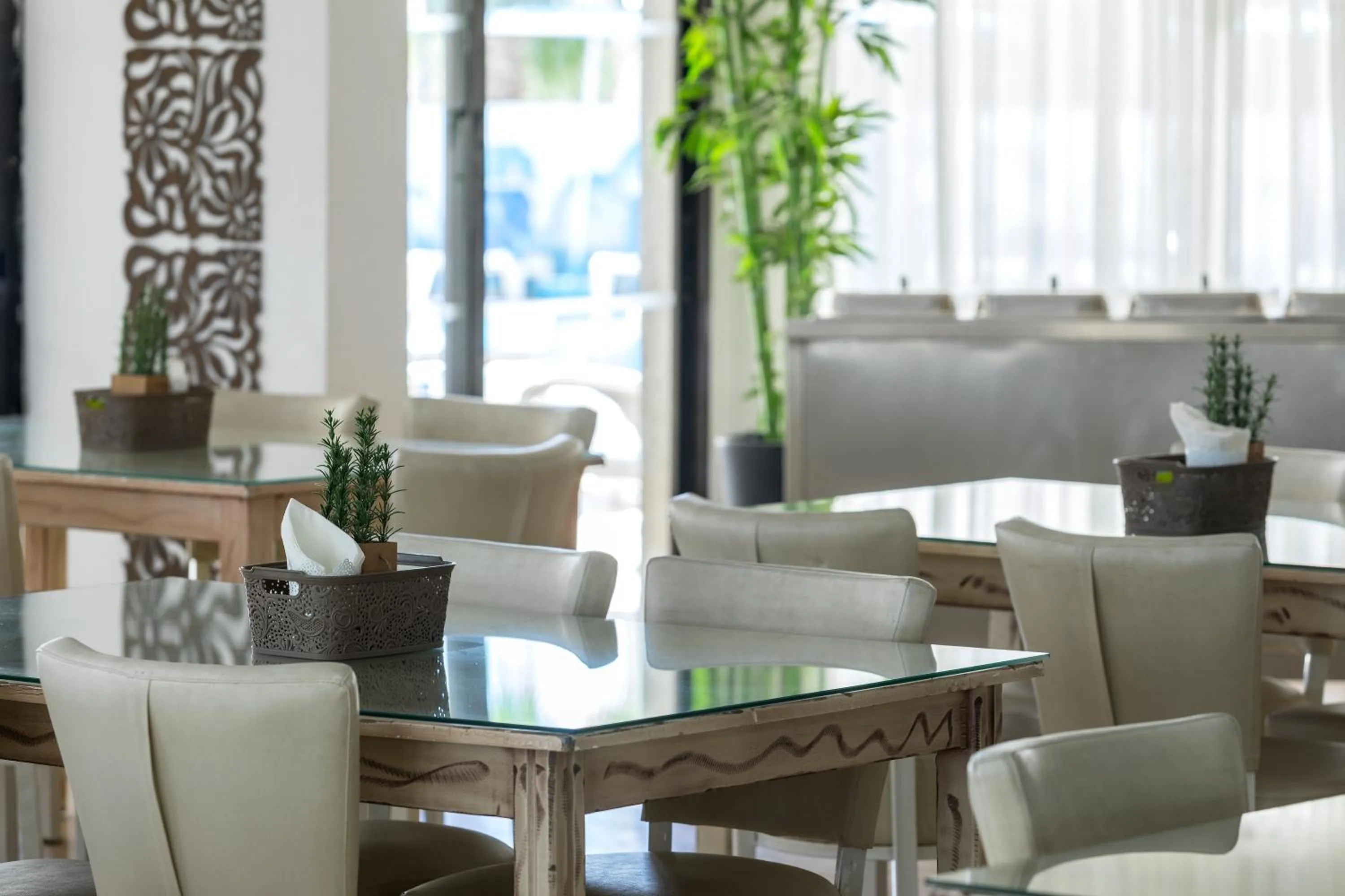 Restaurant/places to eat in Cactus