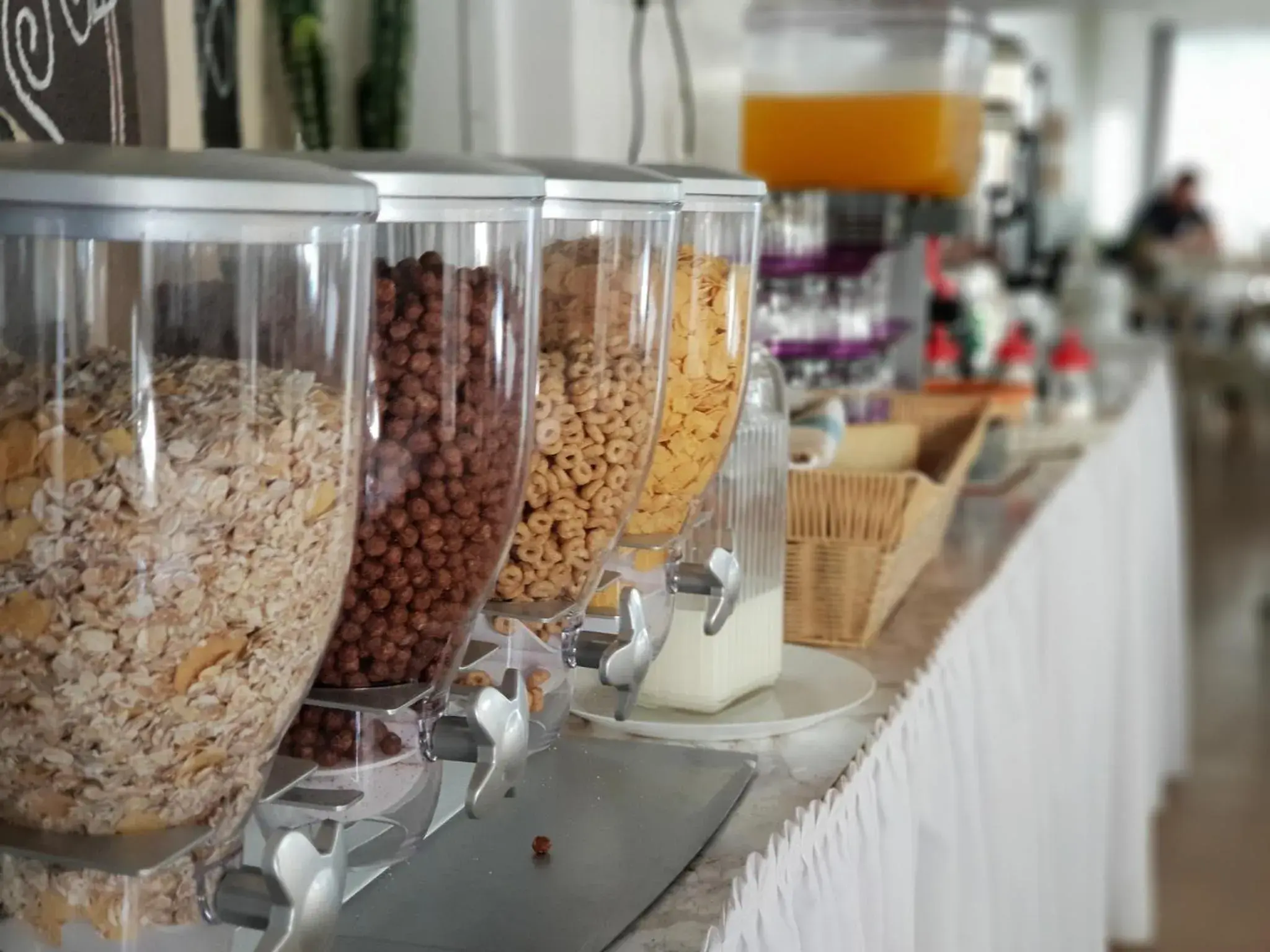 Breakfast in Cactus Breakfast in Cactus