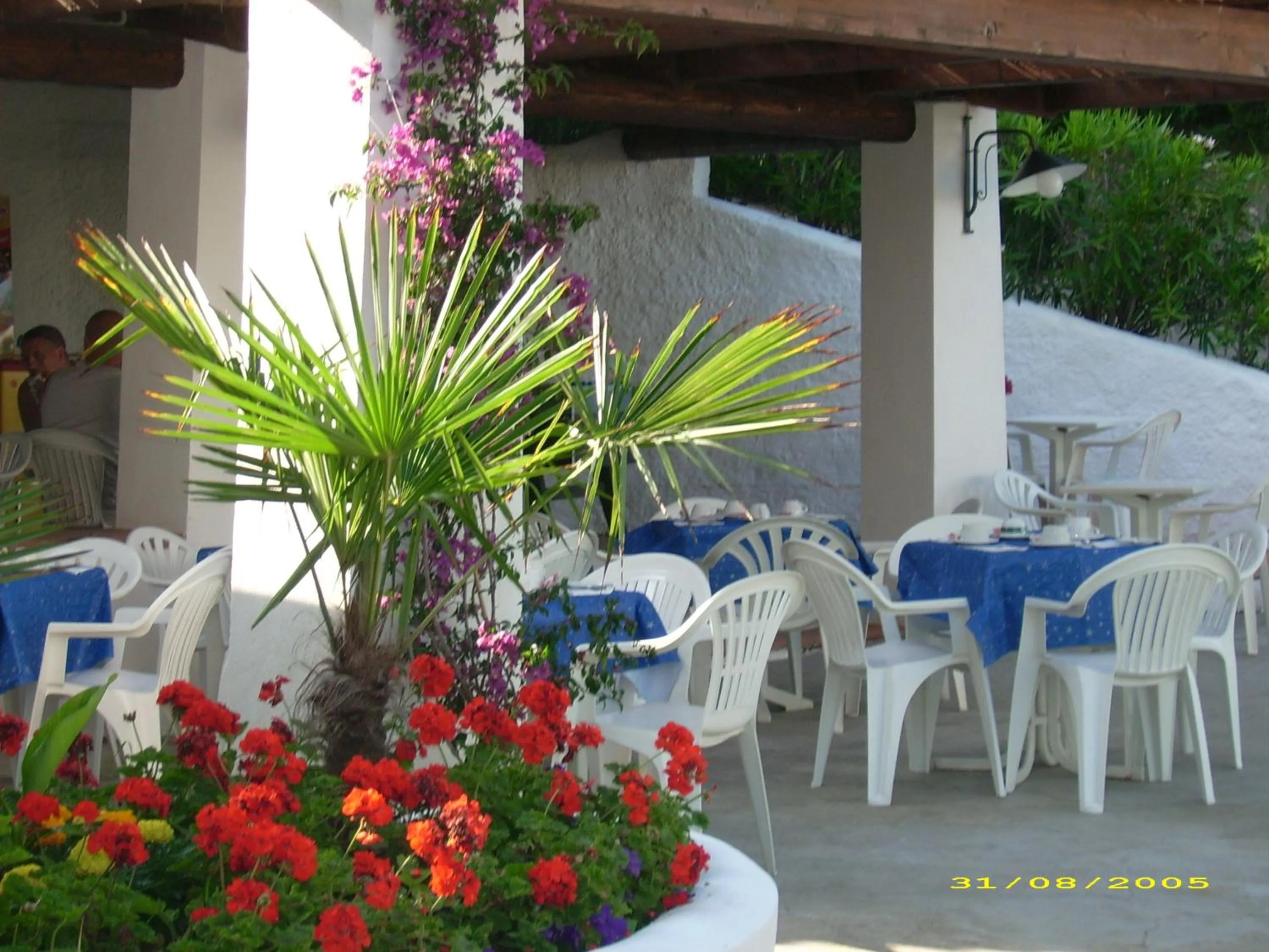 Lounge or bar in Macinelle