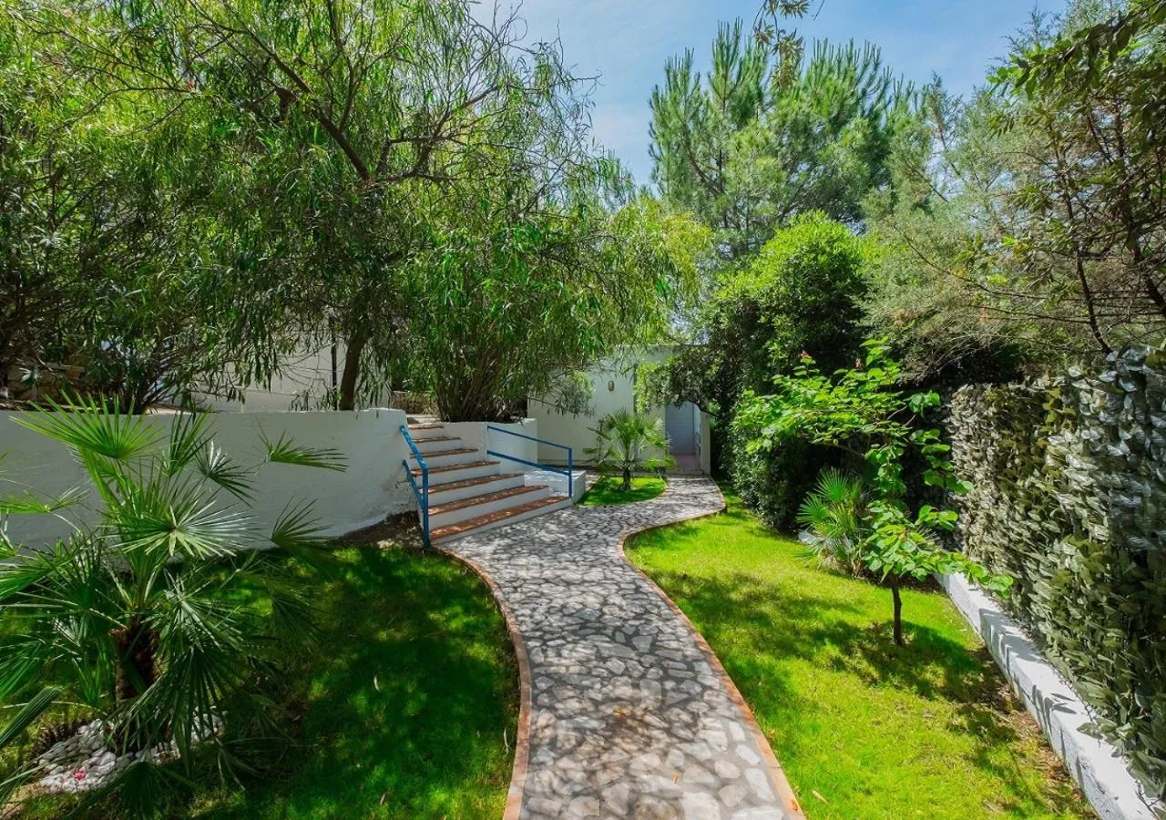 Patio in Macinelle