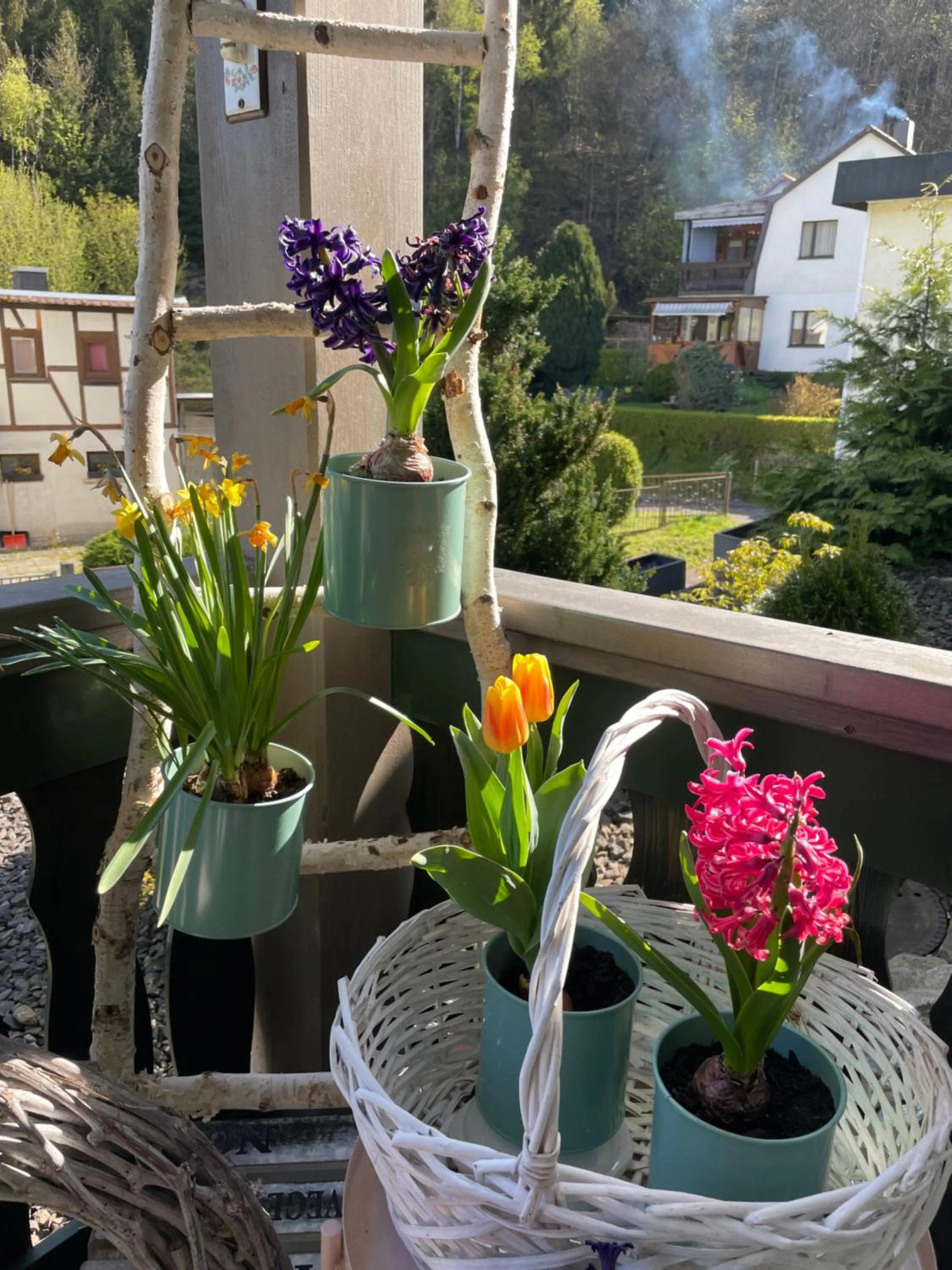 Facade/entrance in Flair-Hotel Waldfrieden