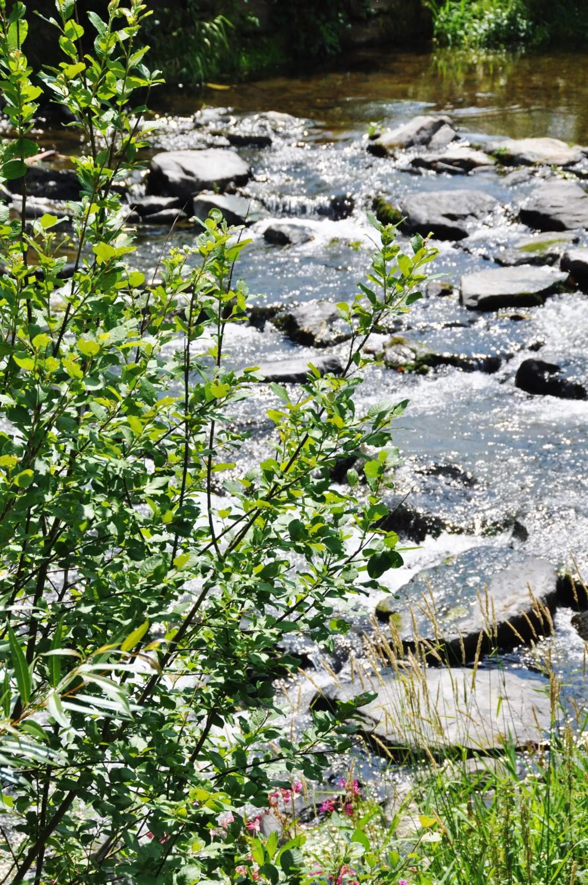 Day in Flair-Hotel Waldfrieden