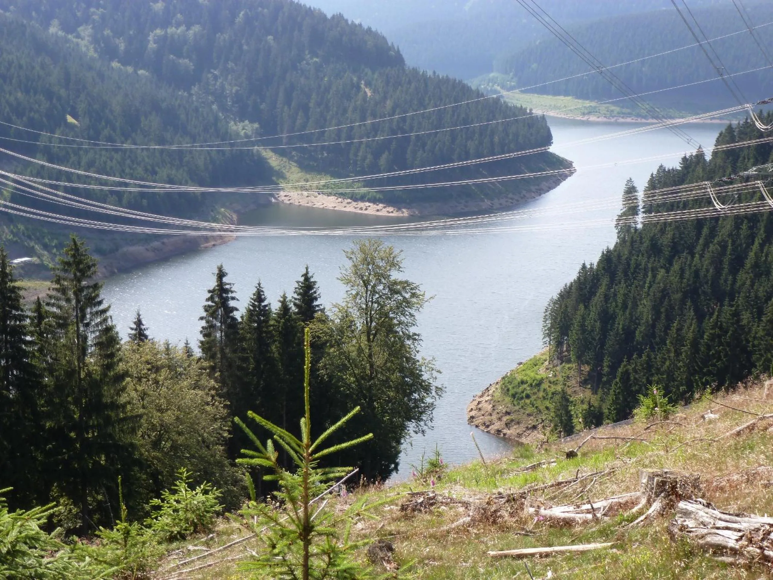 Nearby landmark in Flair-Hotel Waldfrieden