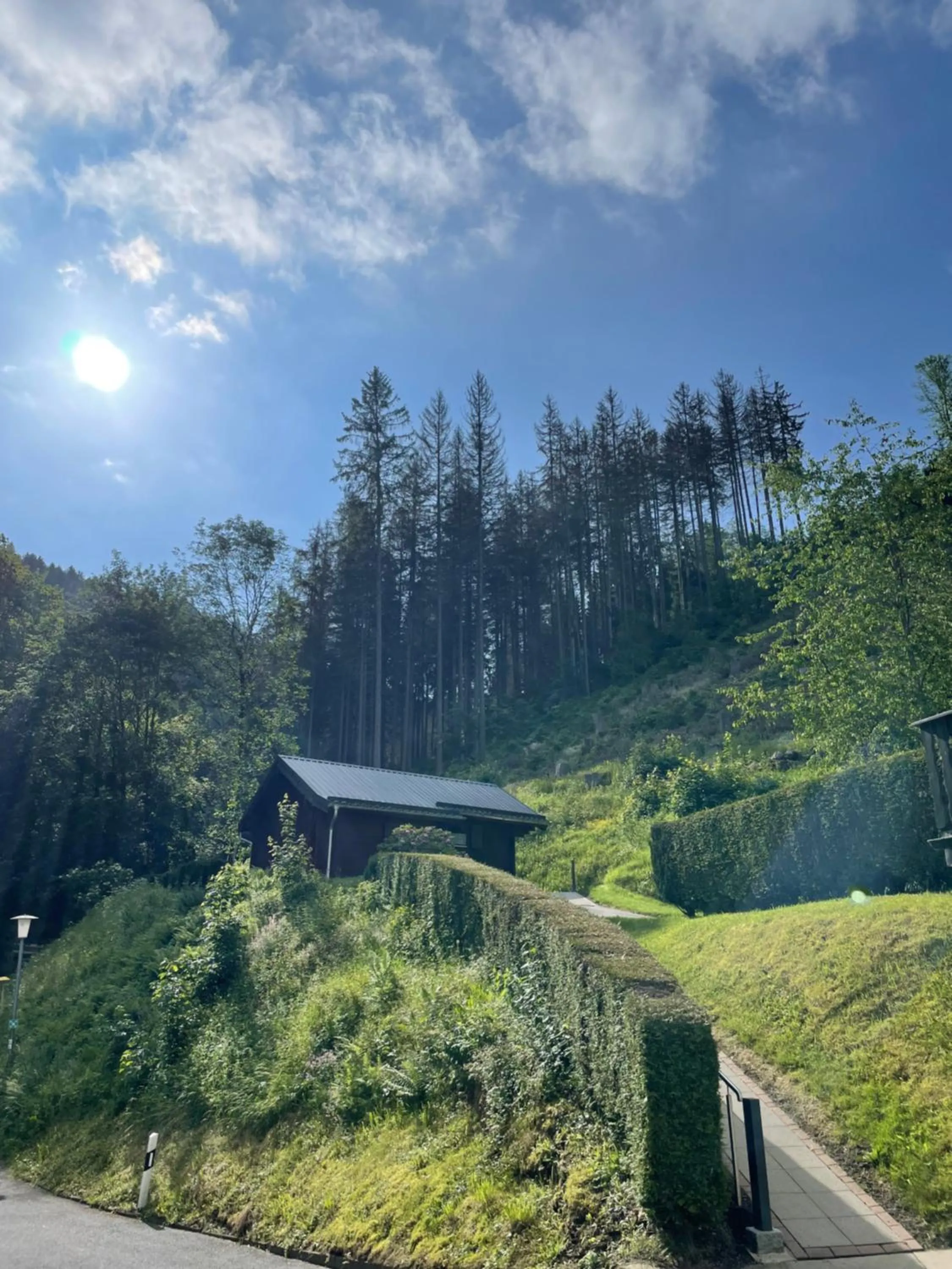 Day in Flair-Hotel Waldfrieden