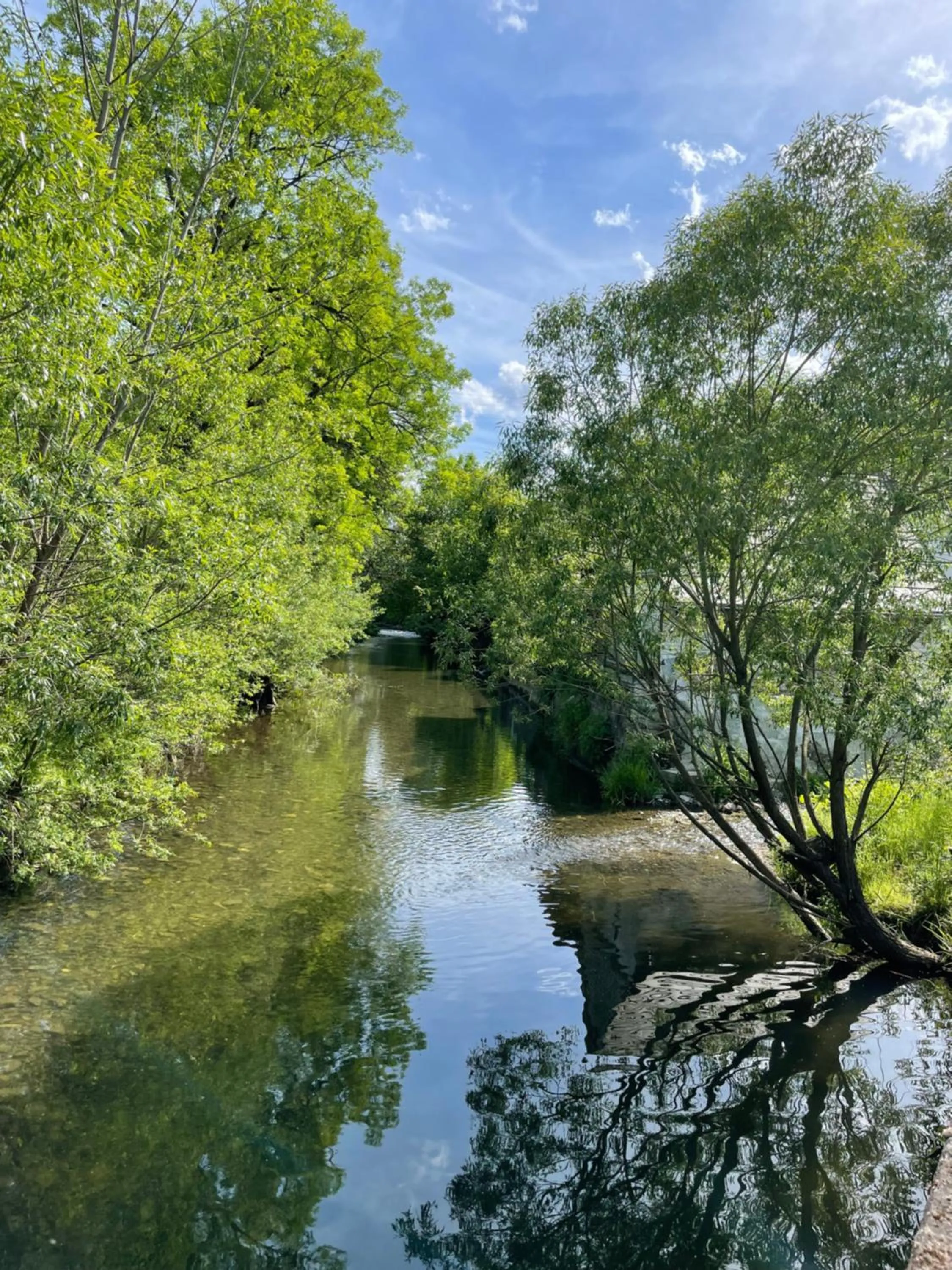 Nearby landmark in Flair-Hotel Waldfrieden