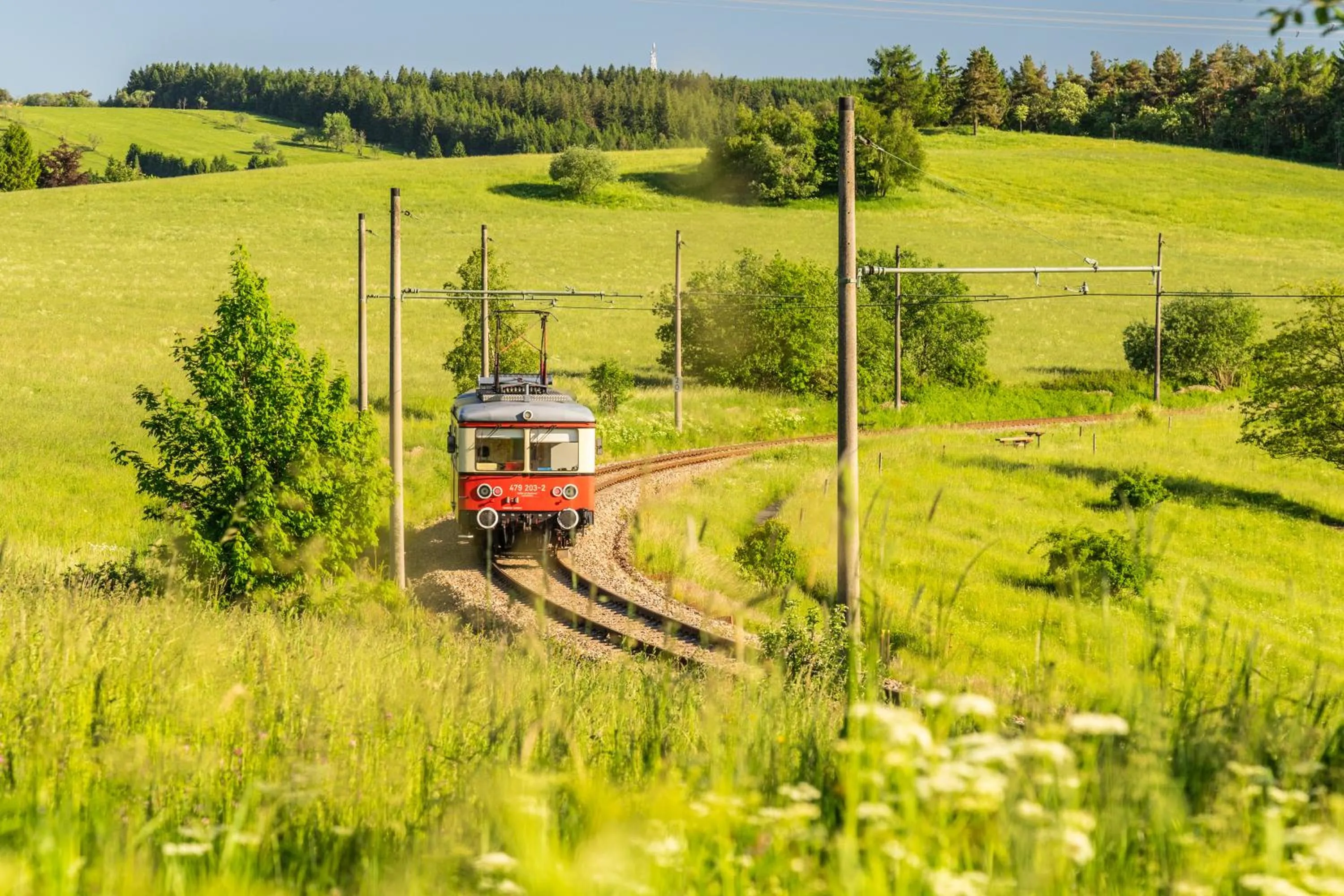Nearby landmark in Flair-Hotel Waldfrieden