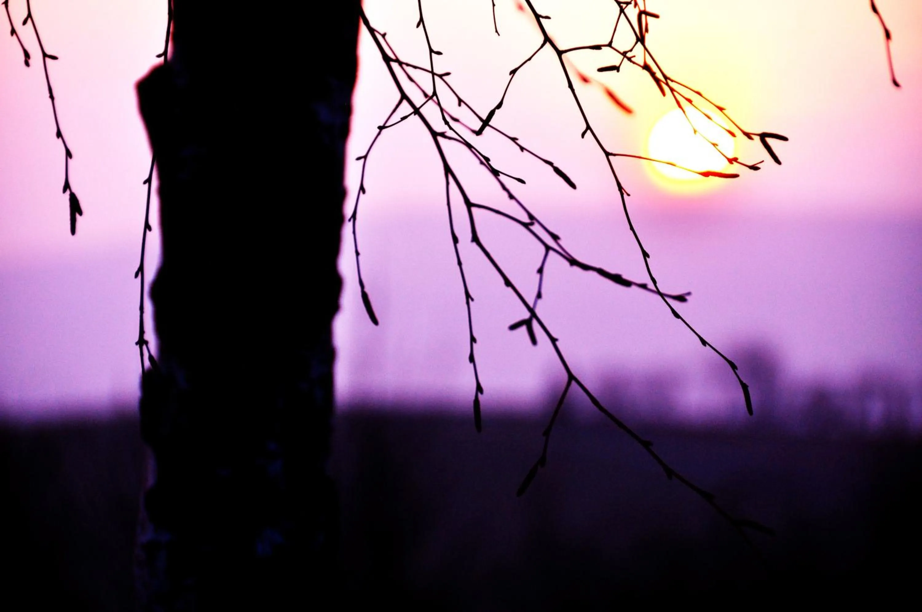 Other in Flair-Hotel Waldfrieden