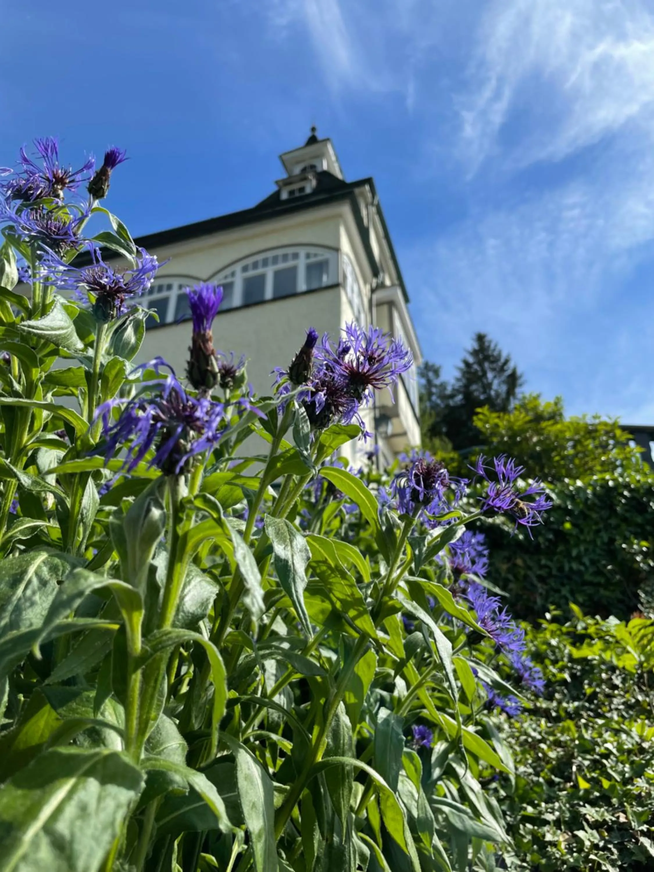 Property building in Flair-Hotel Waldfrieden