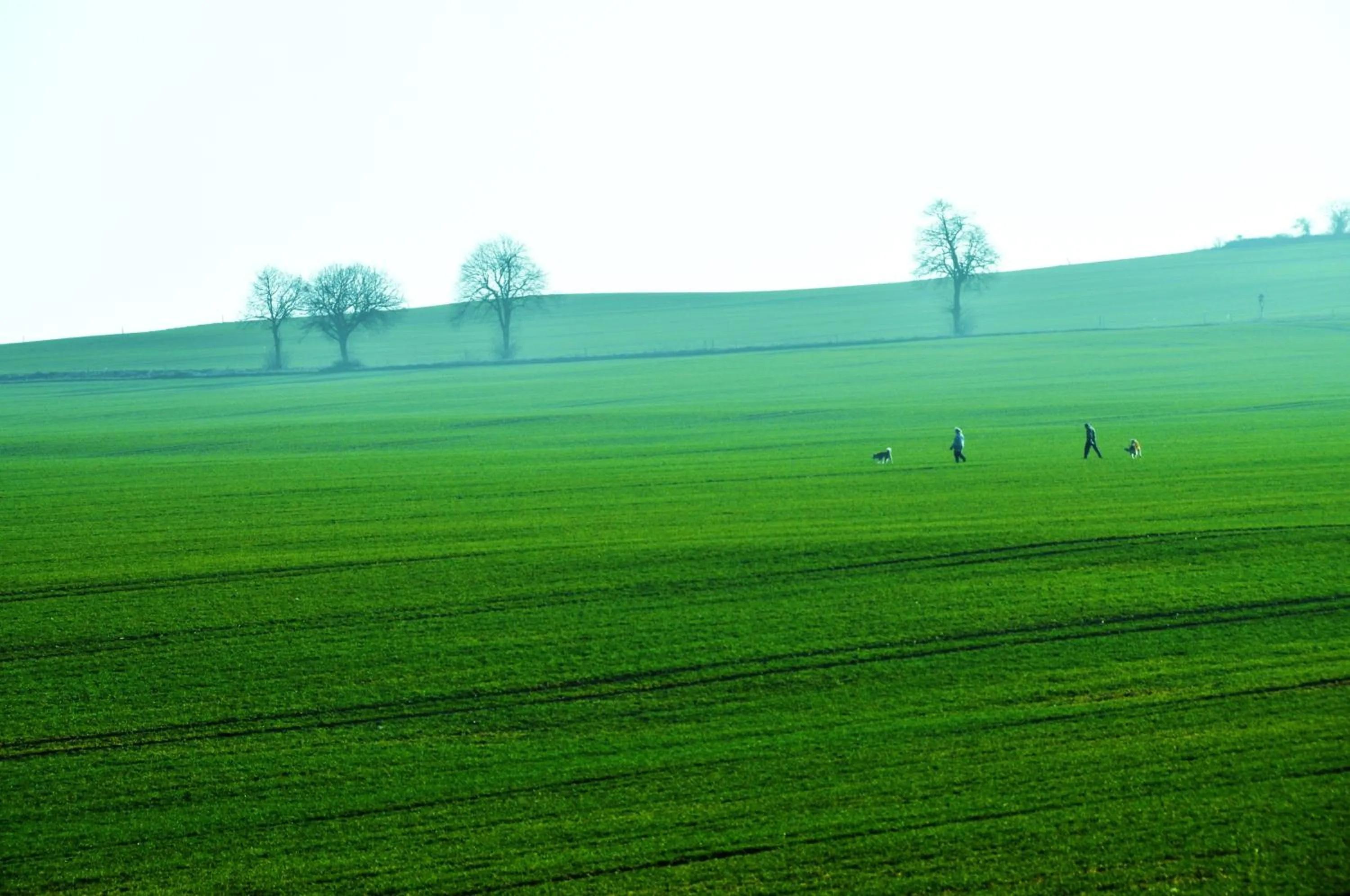 Day in Flair-Hotel Waldfrieden