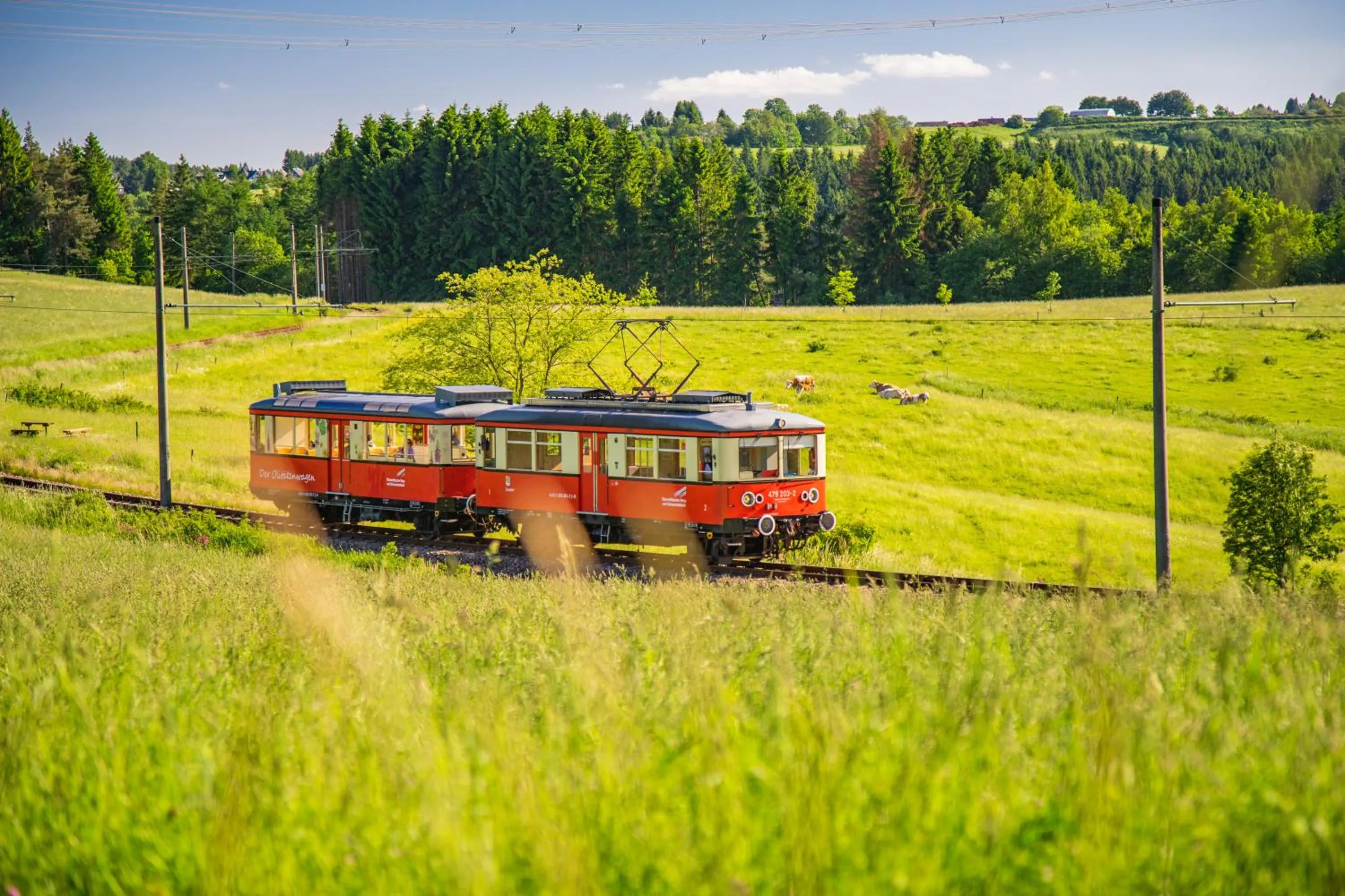 Nearby landmark in Flair-Hotel Waldfrieden